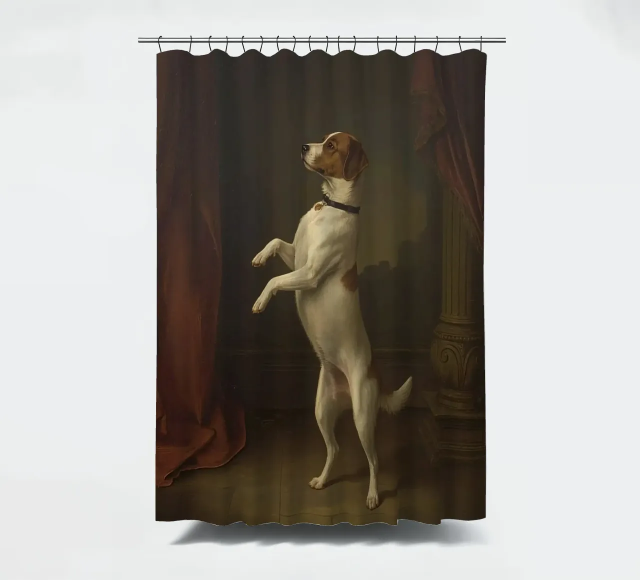 Cane in piedi sulle zampe posteriori in un classico studio di posa tenda da doccia da DesignDoodle