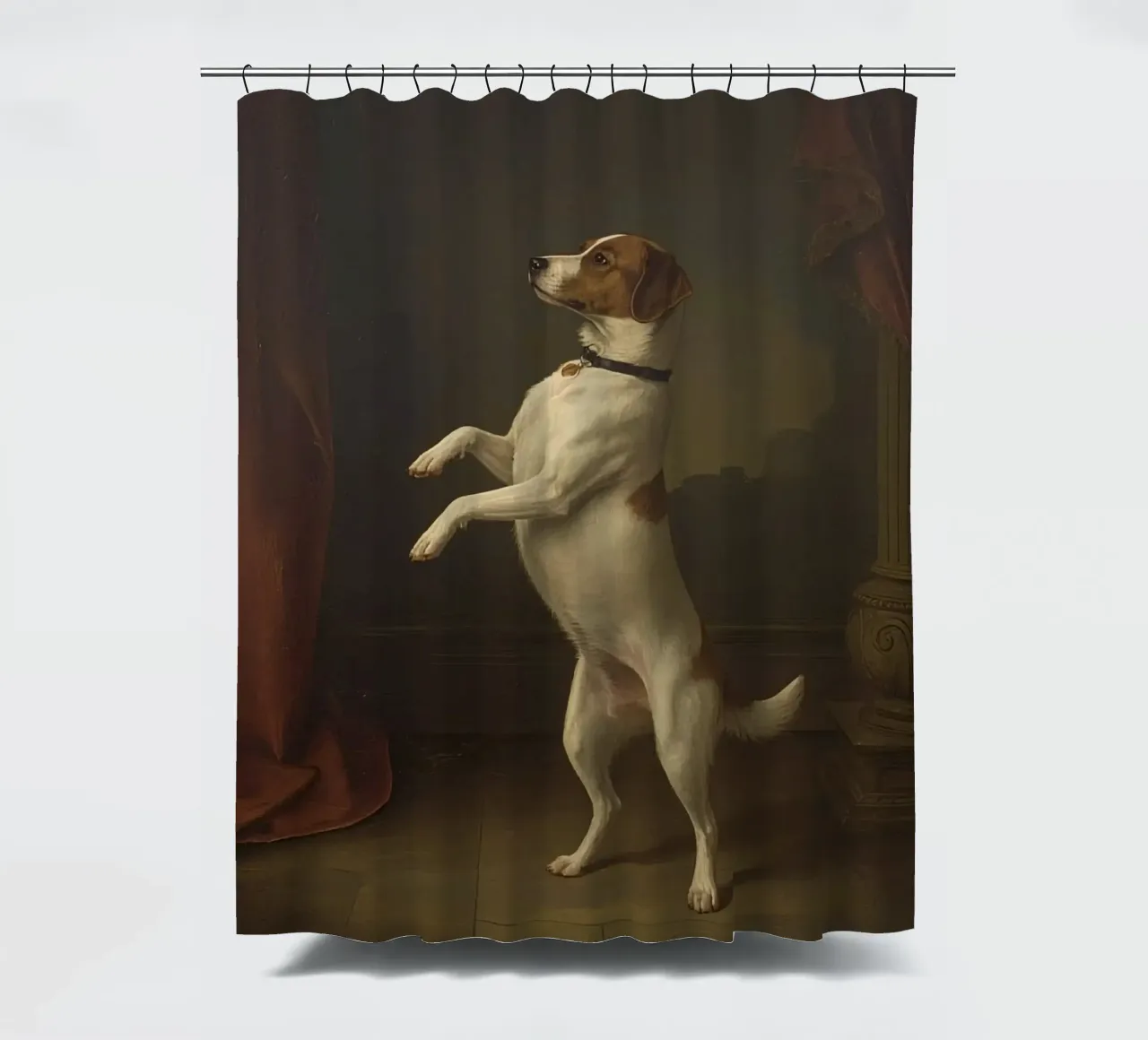 Cane in piedi sulle zampe posteriori in un classico studio di posa tenda da doccia da DesignDoodle