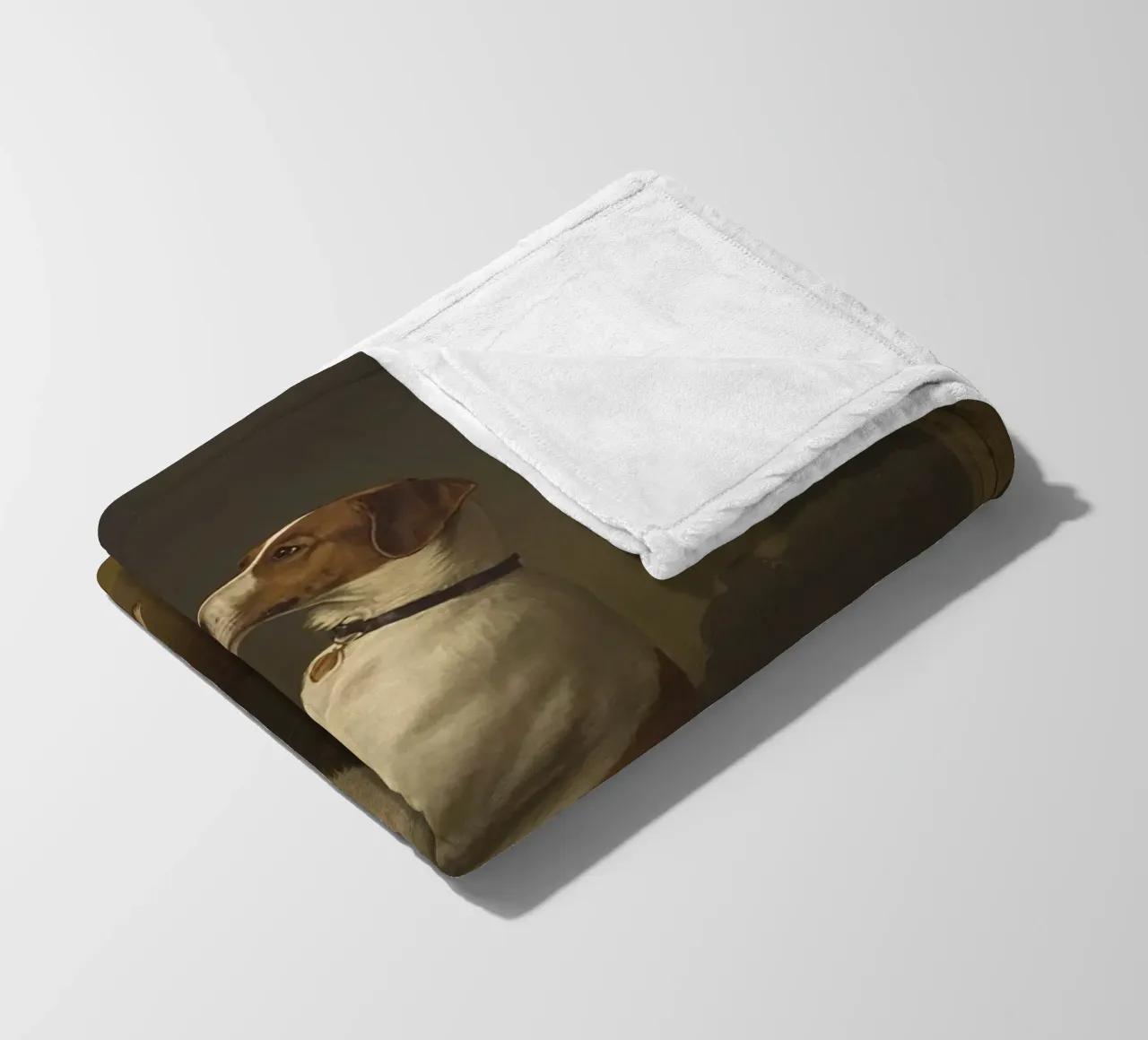 Cane in piedi sulle zampe posteriori in un classico studio di posa coperta in pile da DesignDoodle