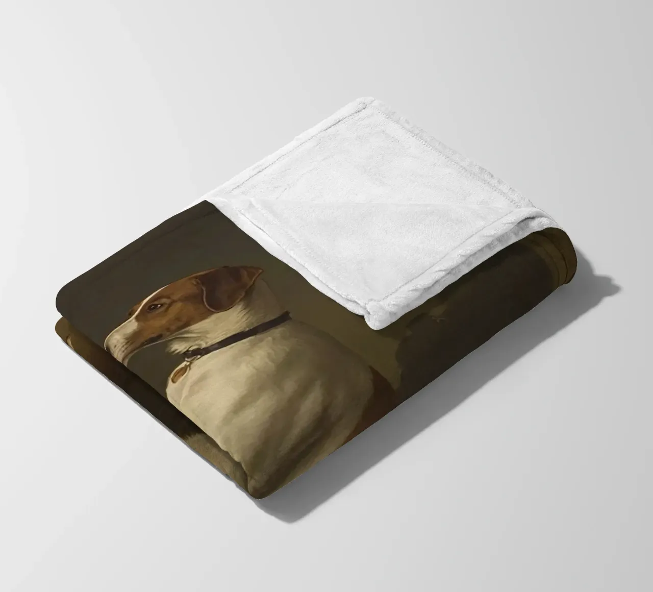 Cane in piedi sulle zampe posteriori in un classico studio di posa coperta in pile da DesignDoodle