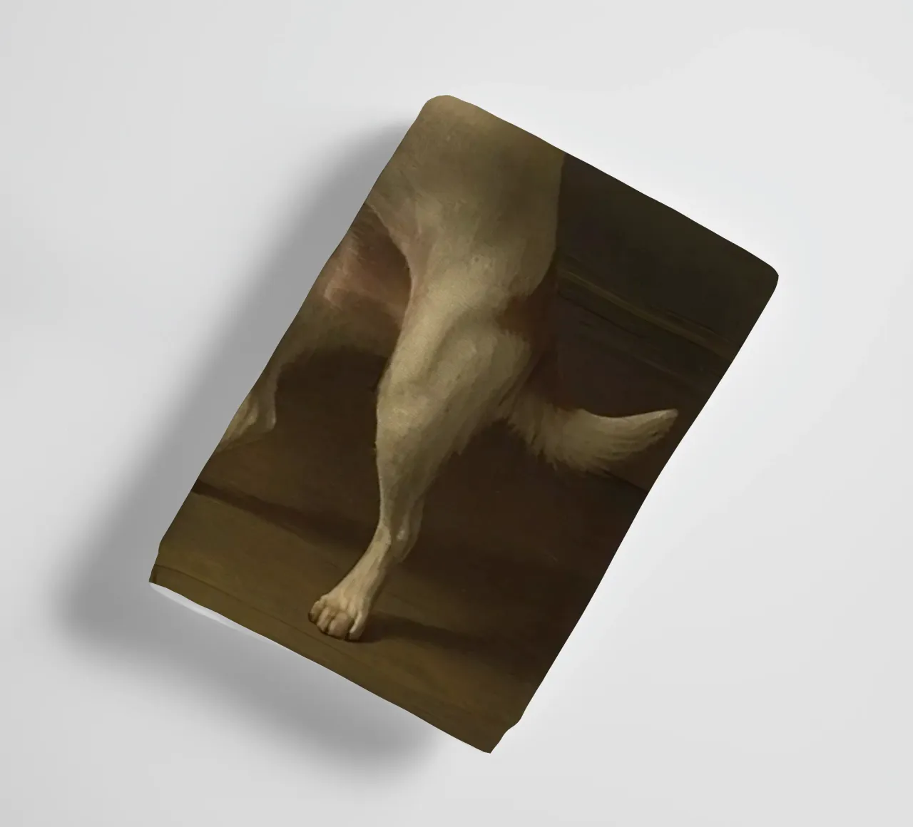 Cane in piedi sulle zampe posteriori in un classico studio di posa asciugamano da bagno da DesignDoodle