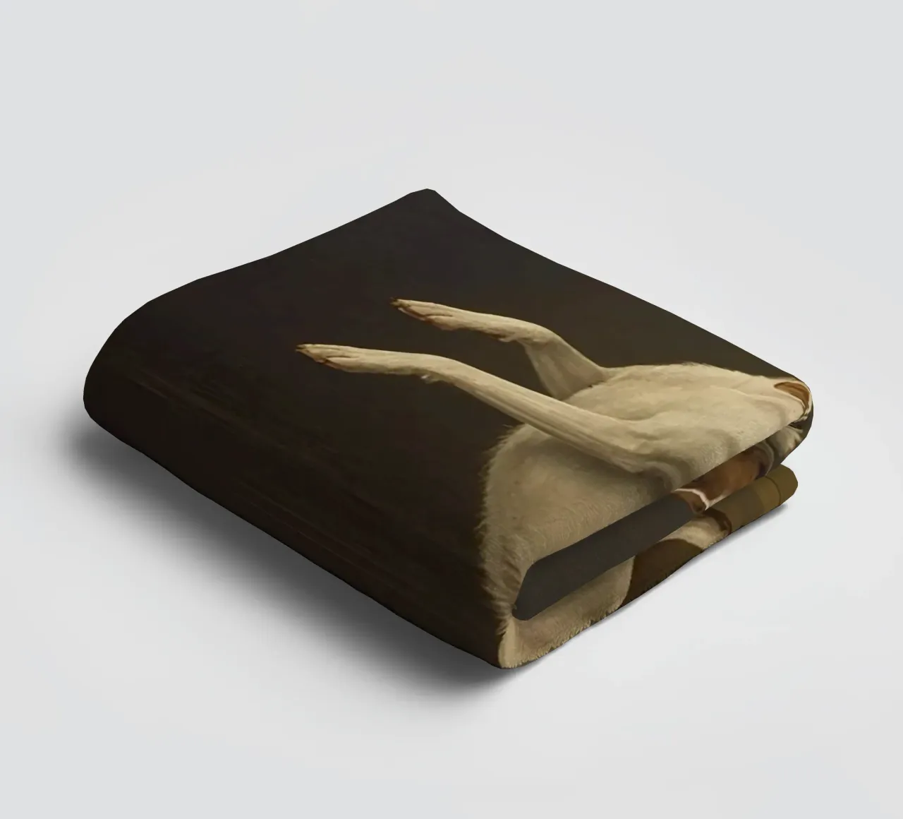 Cane in piedi sulle zampe posteriori in un classico studio di posa asciugamano da bagno da DesignDoodle