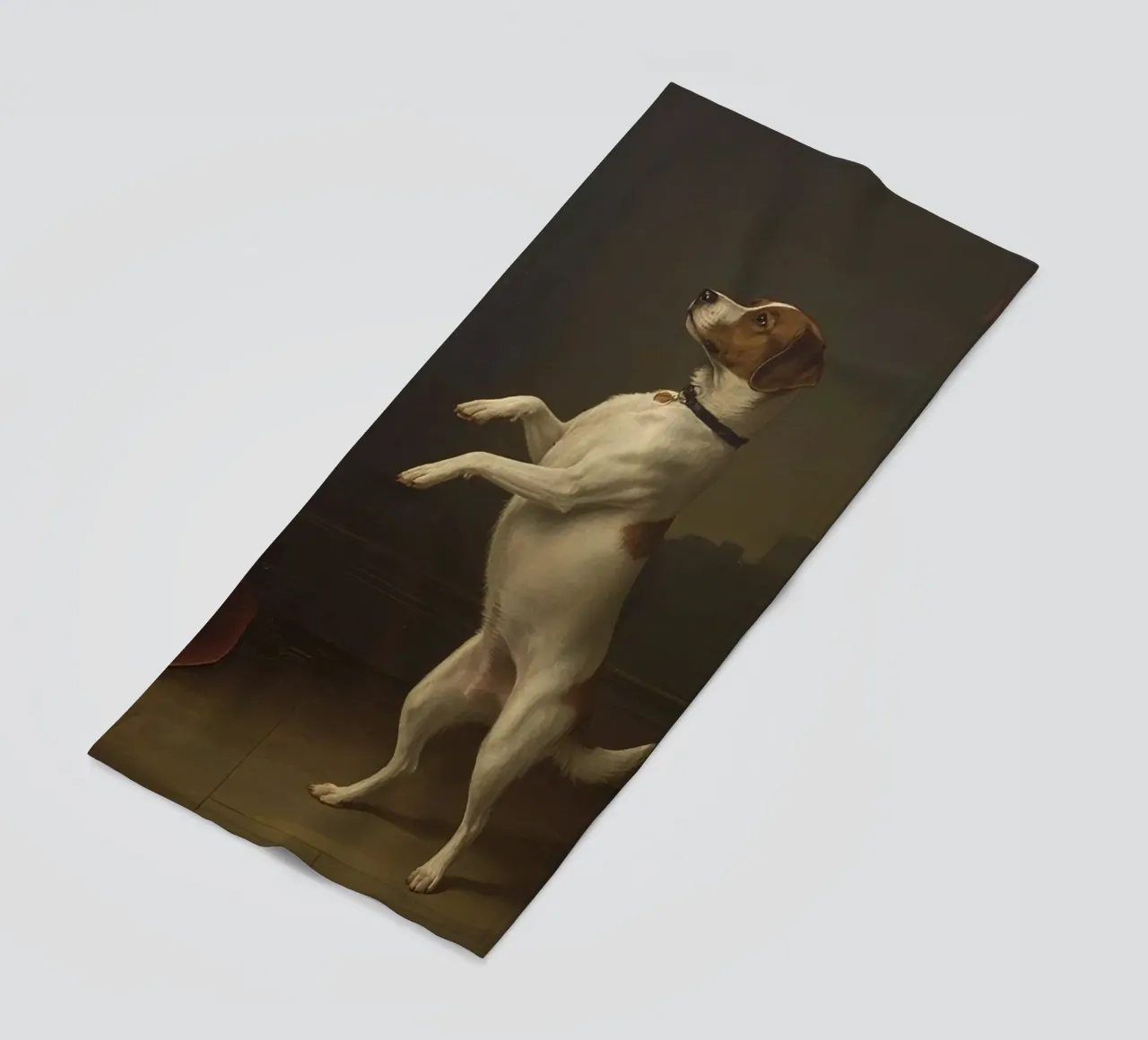 Auf den Hinterbeinen stehender Hund in einer klassischen Studioumgebung Strandtuch von DesignDoodle