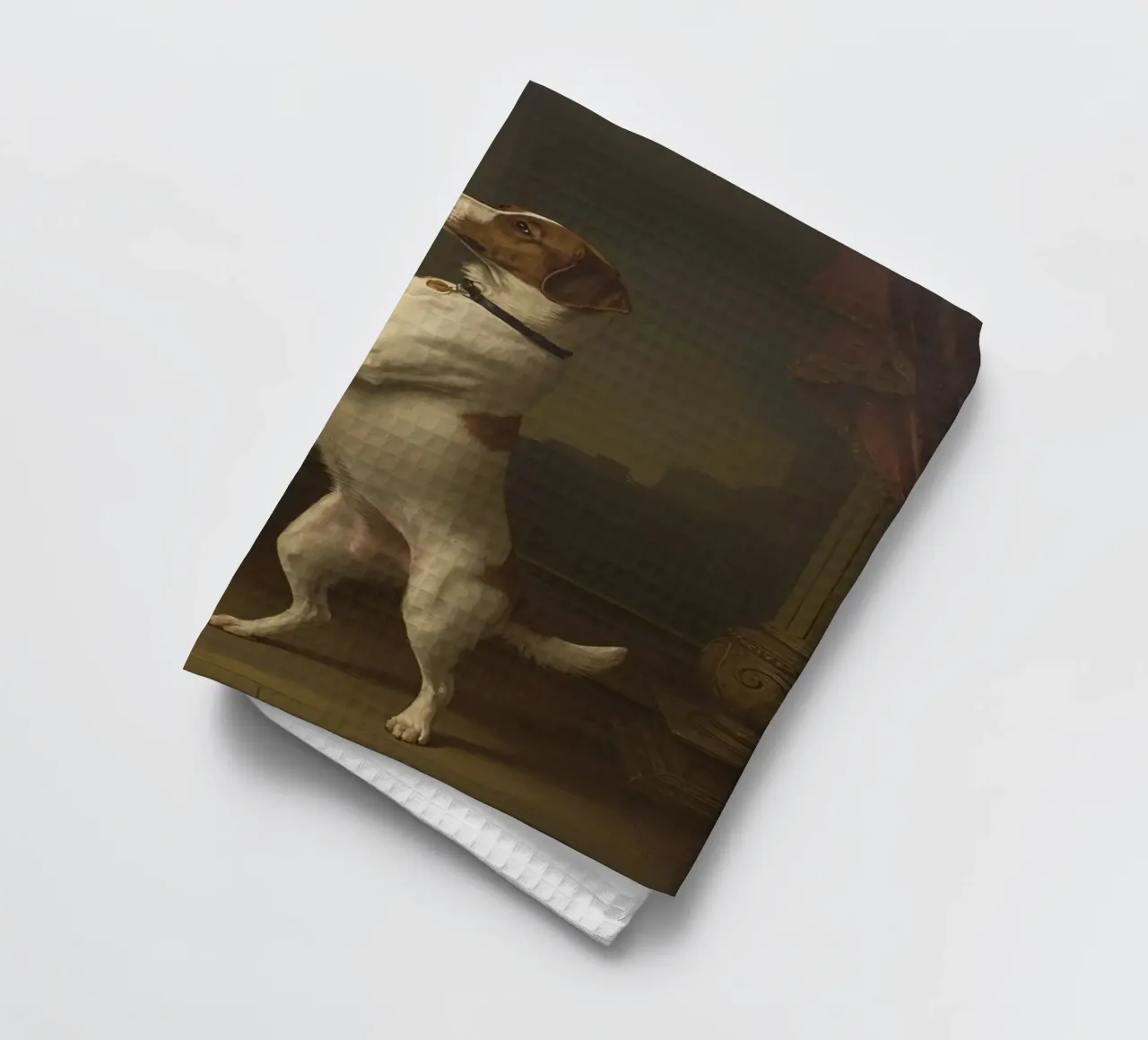 Cane in piedi sulle zampe posteriori in un classico studio di posa canovaccio da cucina da DesignDoodle