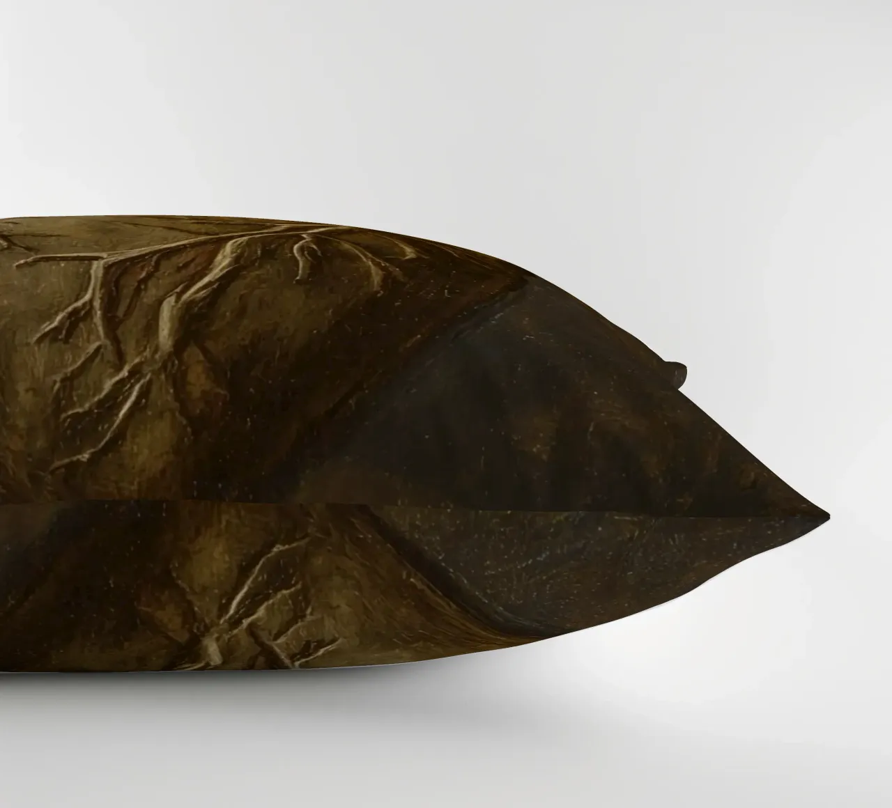 Human heart with tree-like structures in a dark background decorative cushion by DesignDoodle
