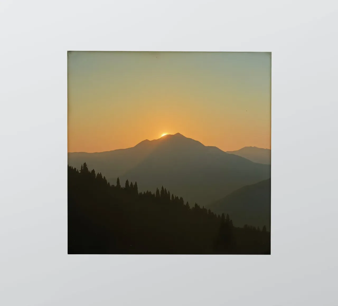 Zonsondergang werpt schaduwen over bergen en pijnbomen sticker van DesignDoodle