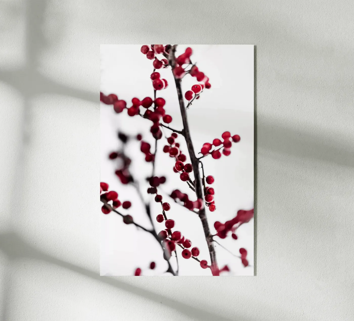 Red Berries 1 plexiglass da Mareike Böhmer Photography
