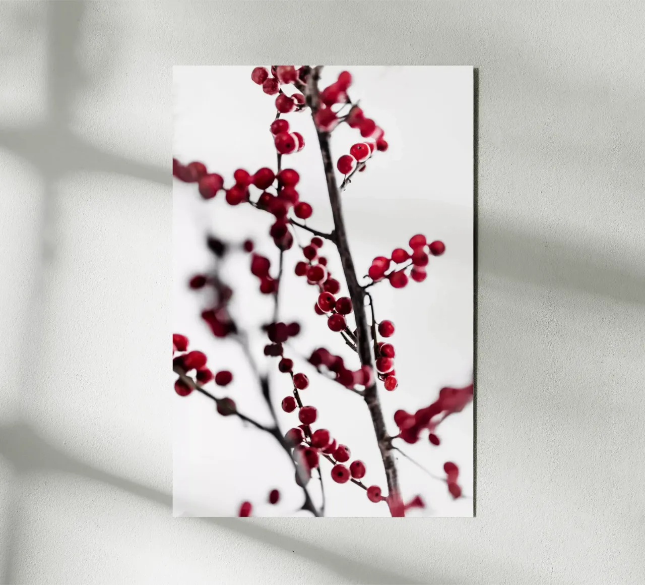 Red Berries 1 pannello forex da Mareike Böhmer Photography