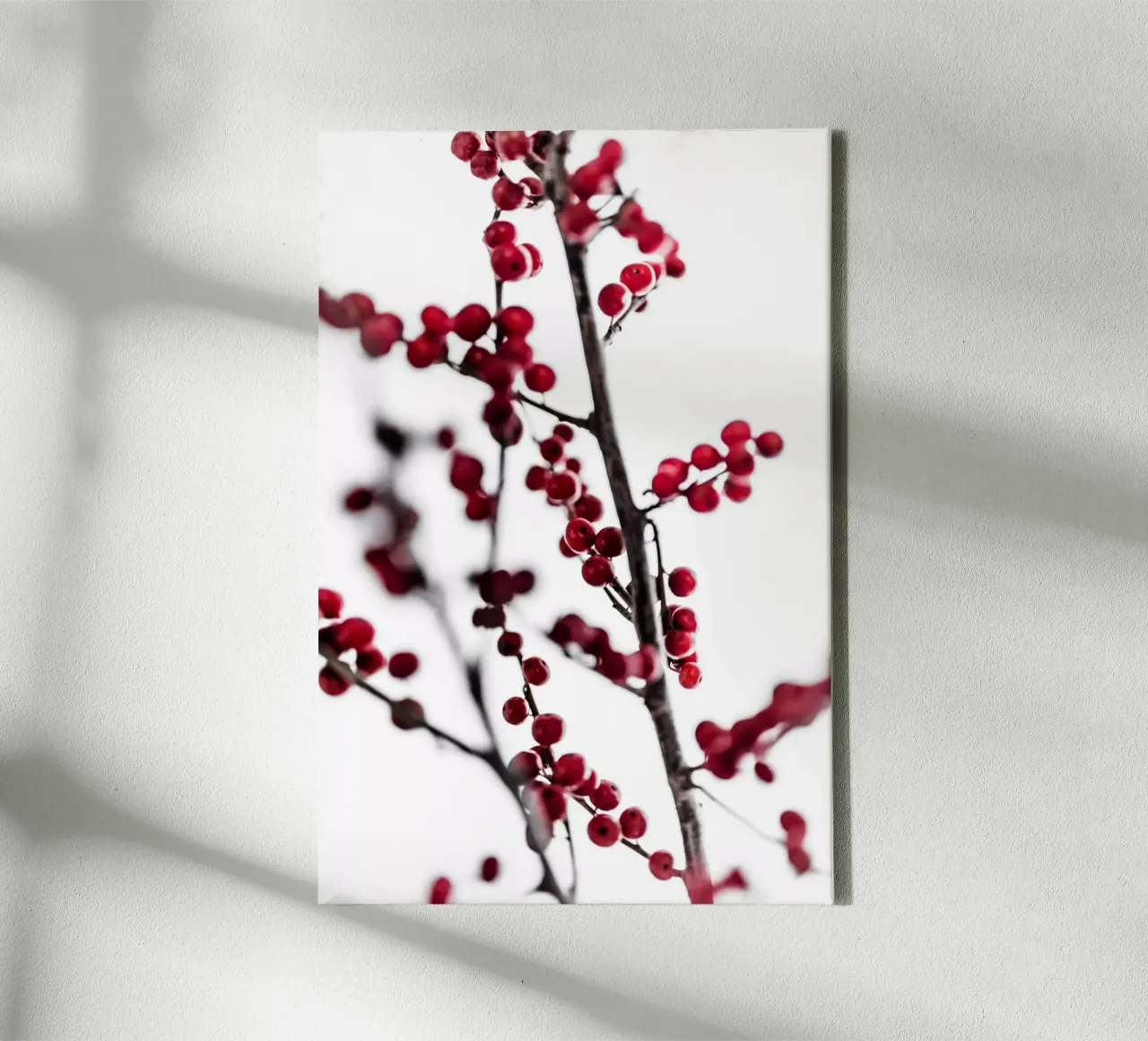 Red Berries 1 Leinwand von Mareike Böhmer Photography