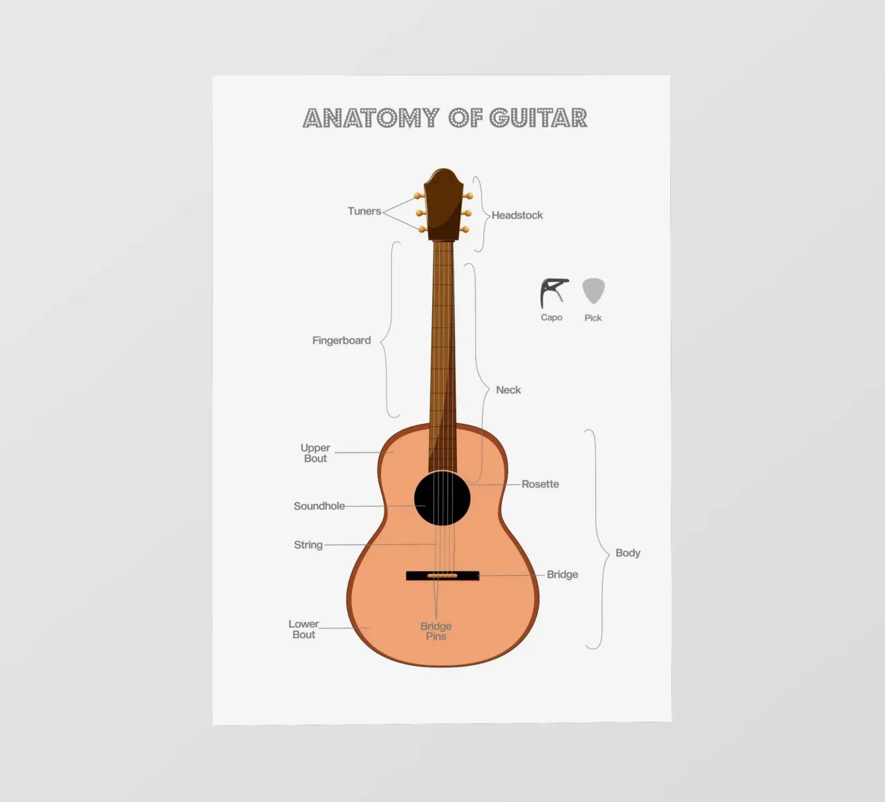 Anatomy of a Guitar pellicola backlit da Attaboy Dsgn