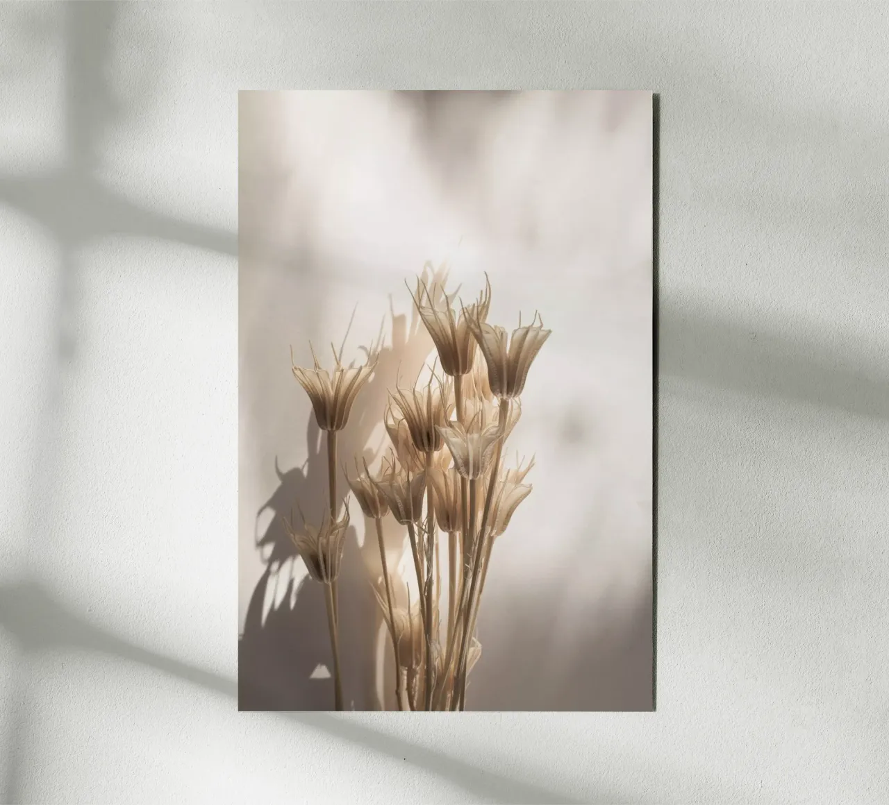 Last Summer 27 Alu-Dibond von Mareike Böhmer Photography