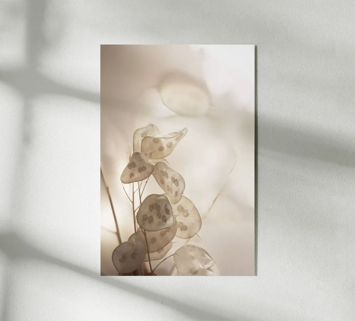 Last Summer 28 plexiglass da Mareike Böhmer Photography