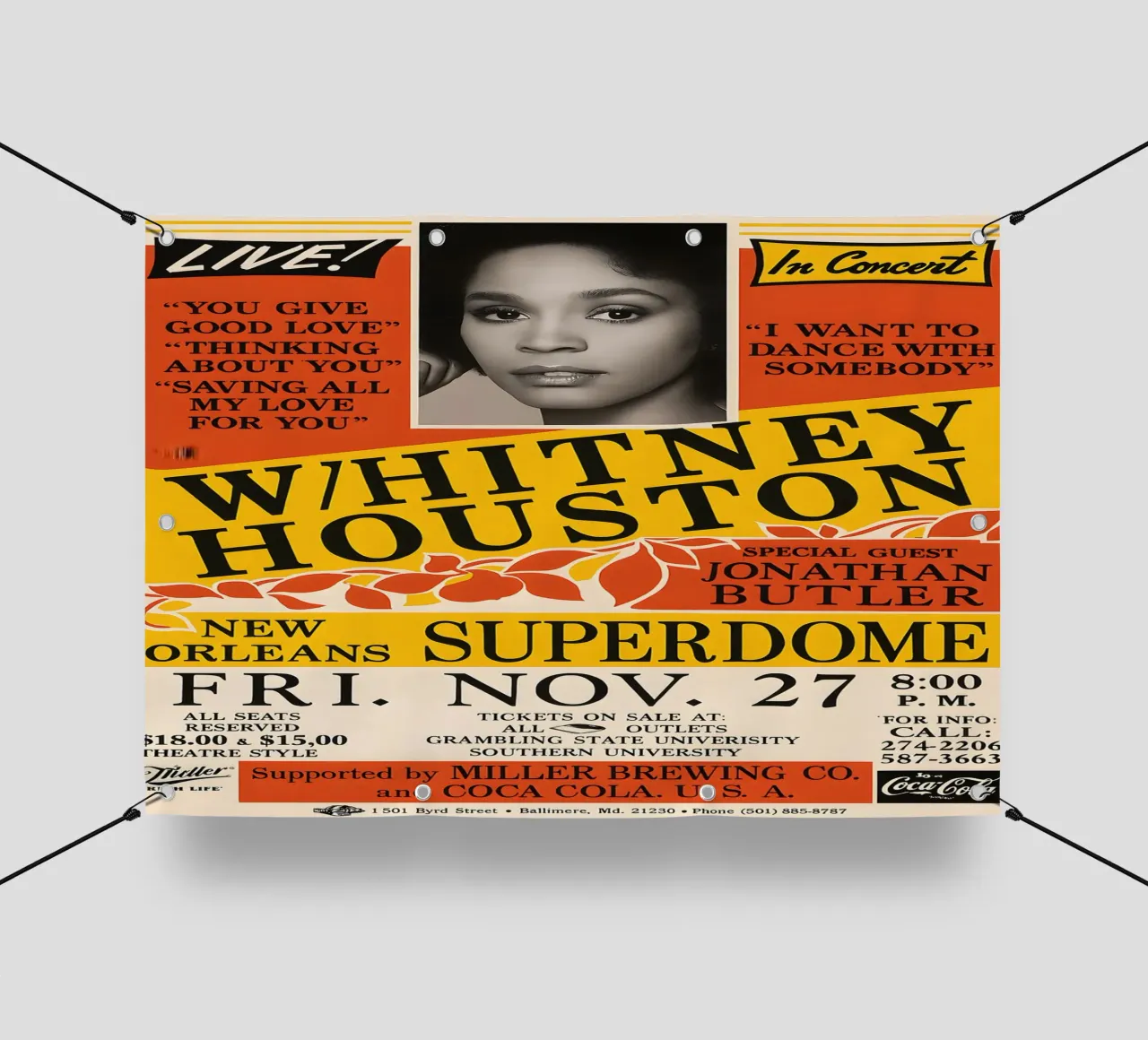 Whitney Houston 1987 Concert pvc cover by DGUnder