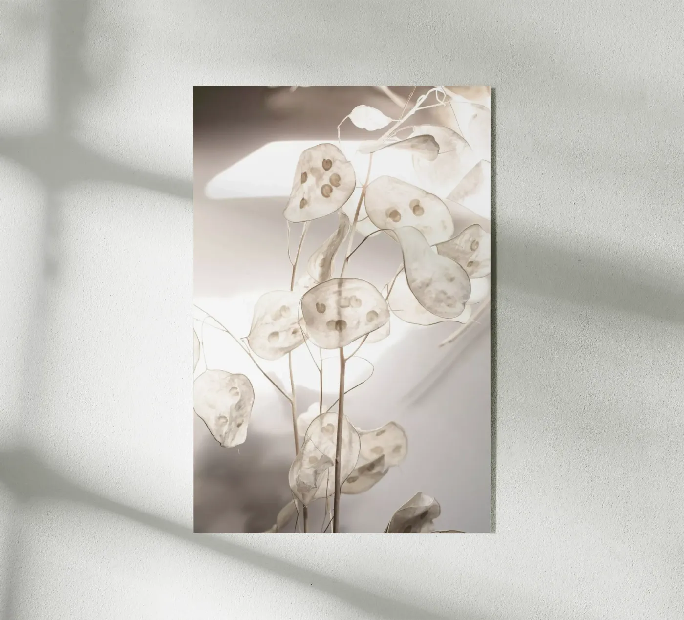 Last Summer 30 plexiglass da Mareike Böhmer Photography