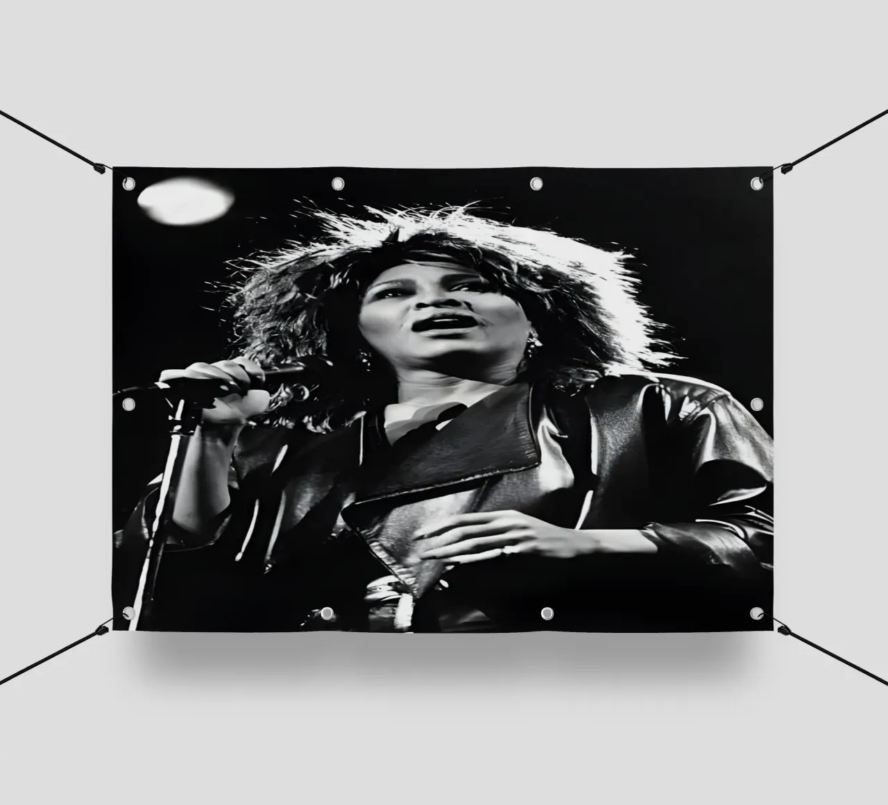 Tina Turner telo in pvc da Low poly art