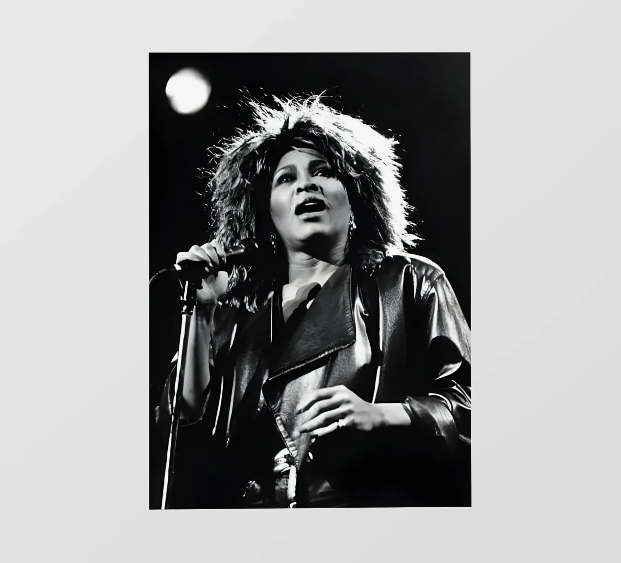 Tina Turner telo in pvc da Low poly art