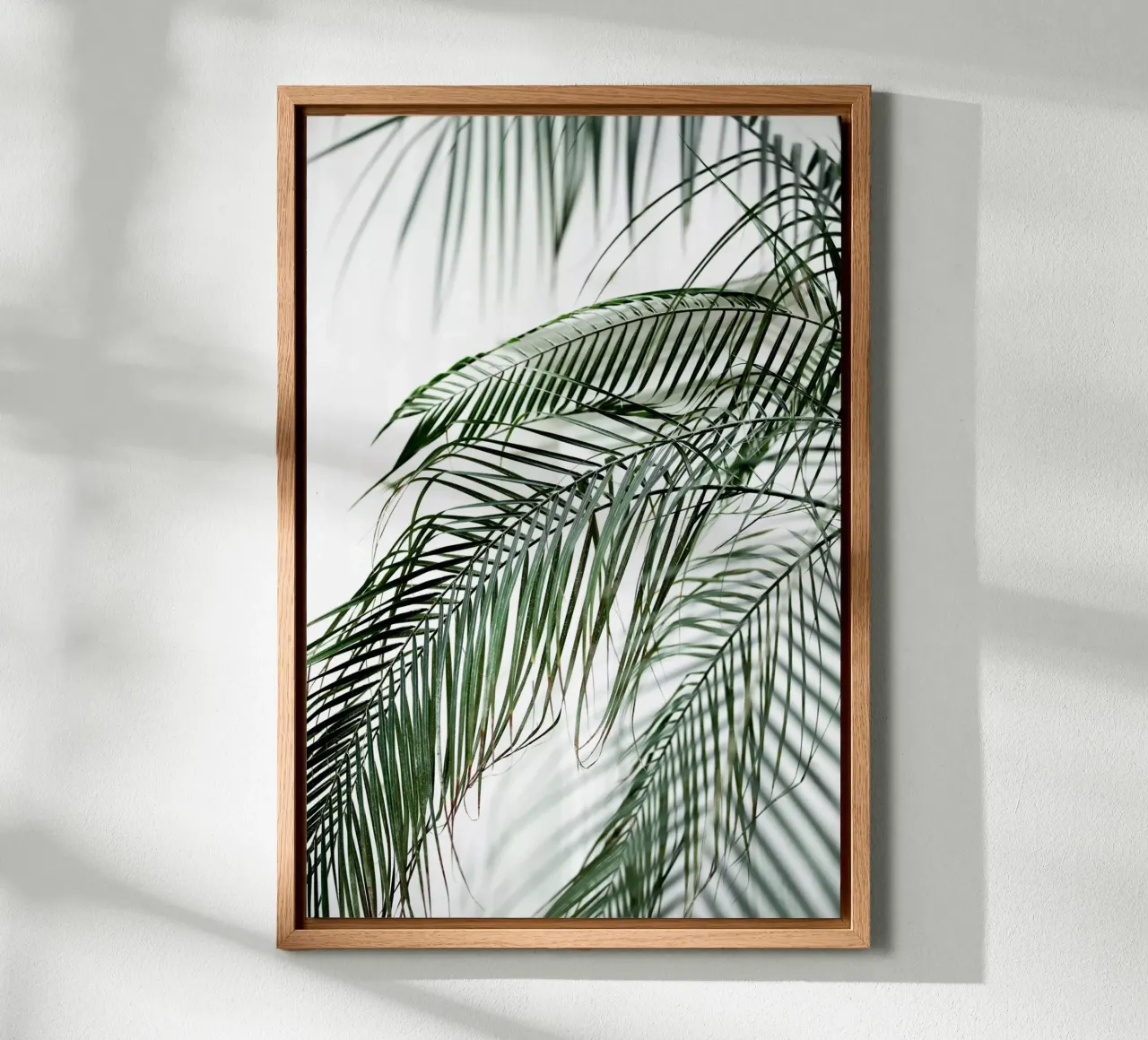 Palm Leaves 21 Alu-Dibond von Mareike Böhmer Photography