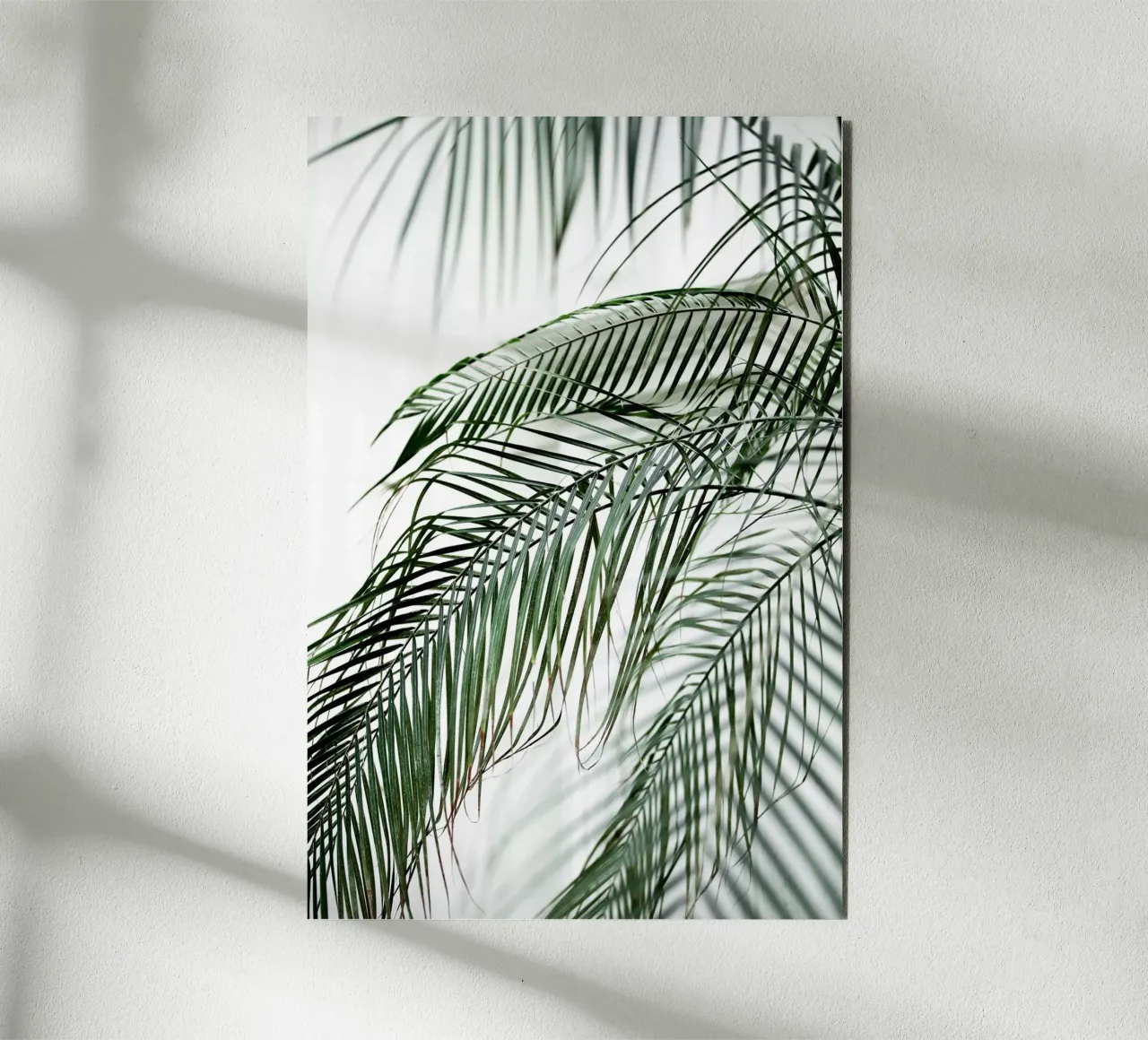 Palm Leaves 21 Alu-Dibond von Mareike Böhmer Photography