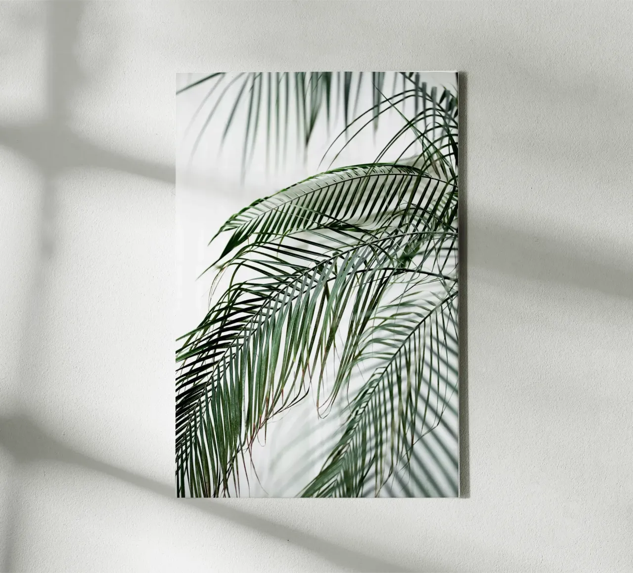 Palm Leaves 21 Leinwand von Mareike Böhmer Photography