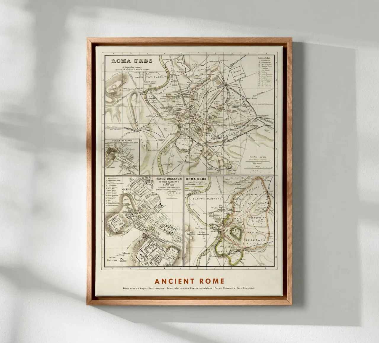 Ancient Rome Maps canvas with Floater frame by Lyndamaps