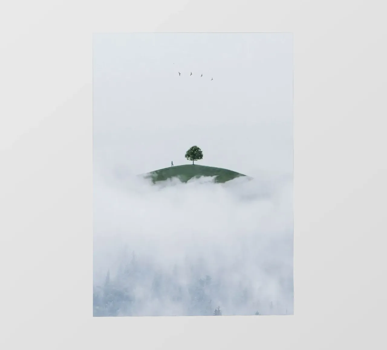dreamlike tranquility pellicola backlit da prindy