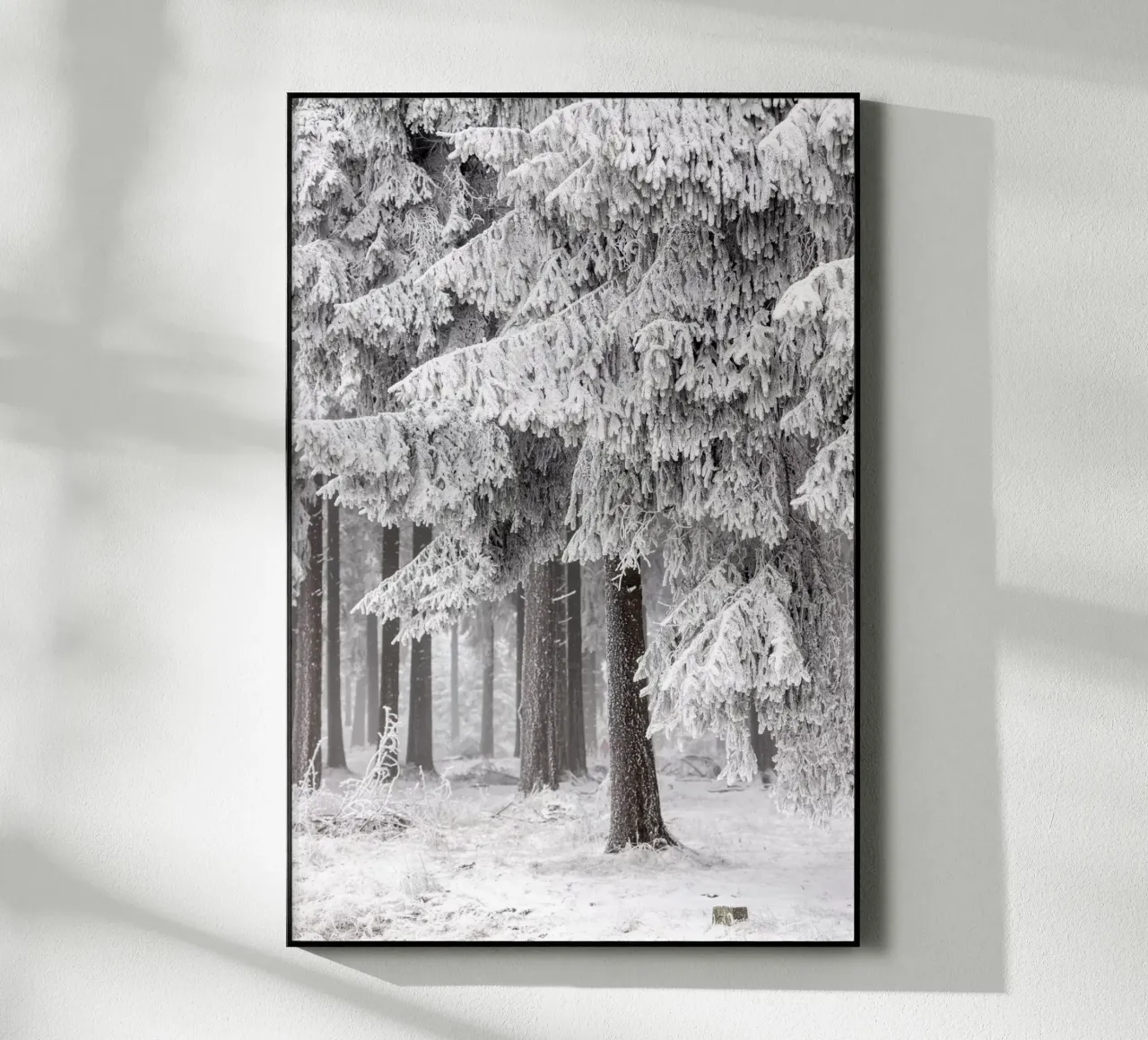 Winter Forest 2 plexiglass da Mareike Böhmer Photography