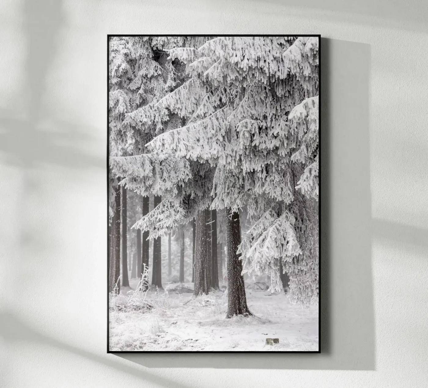 Winter Forest 2 plexiglass da Mareike Böhmer Photography