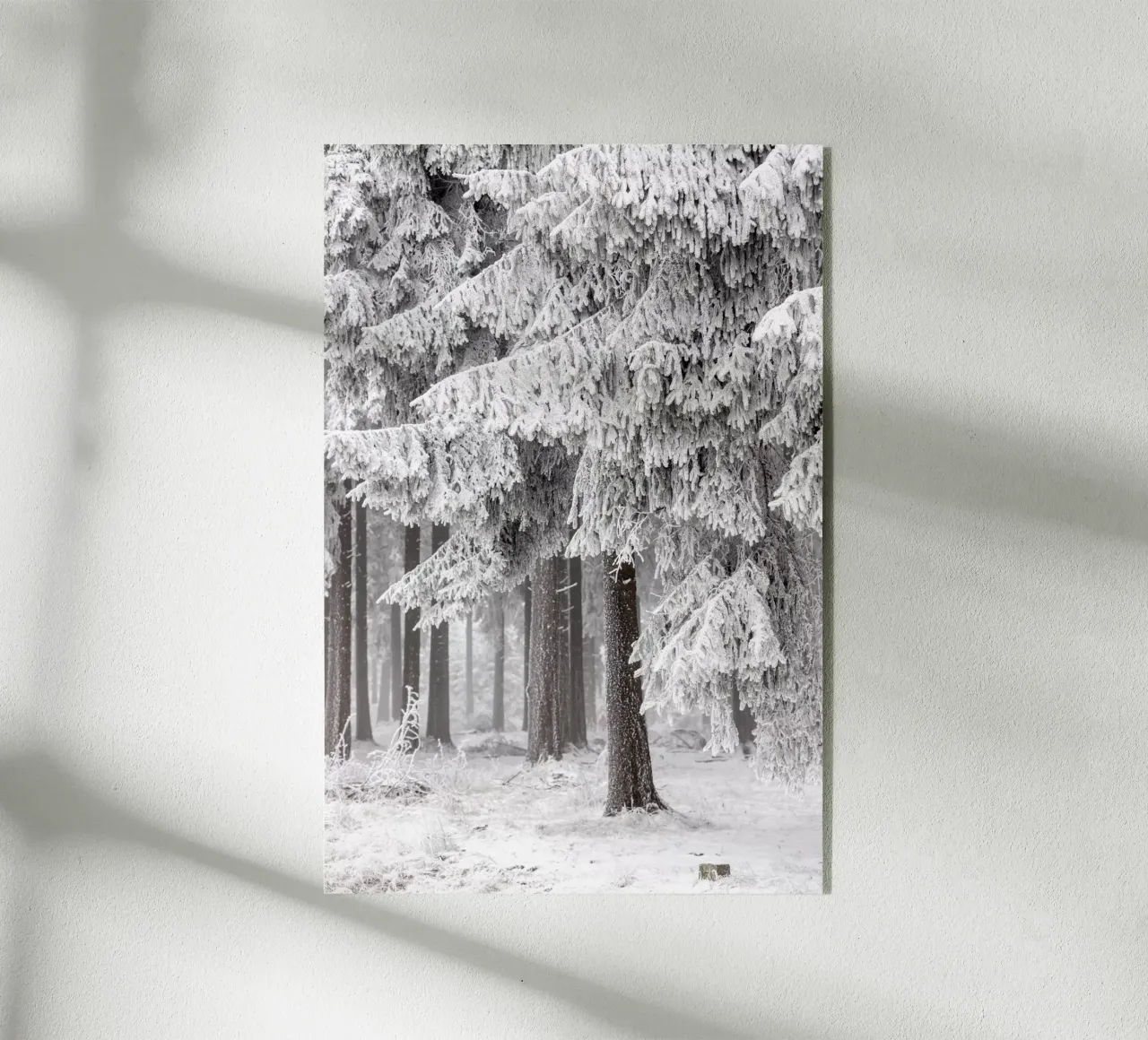 Winter Forest 2 plexiglass da Mareike Böhmer Photography