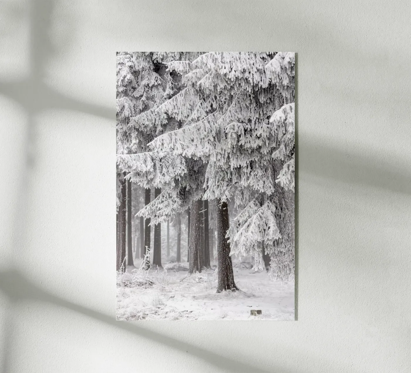 Winter Forest 2 plexiglass da Mareike Böhmer Photography