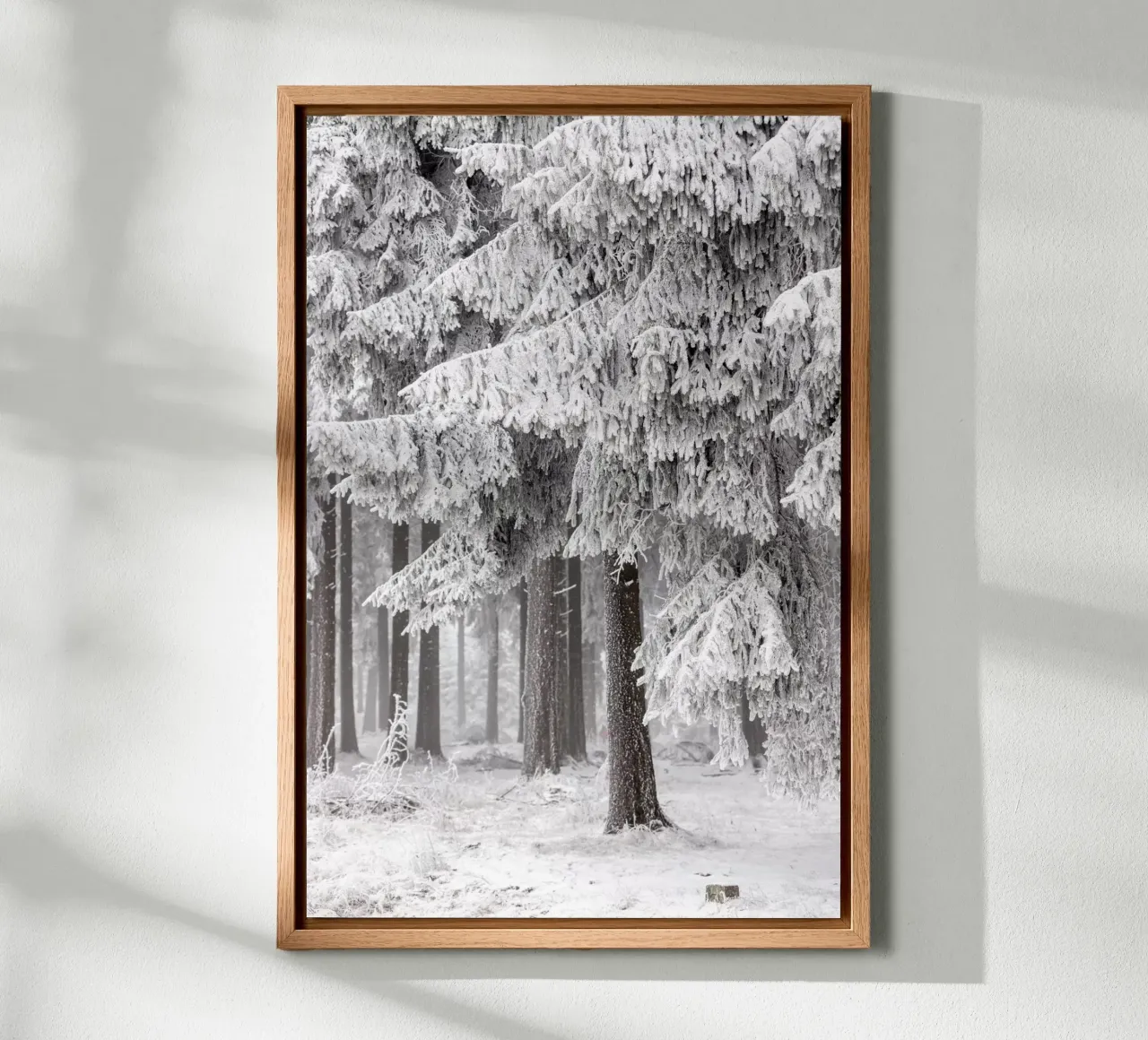 Winter Forest 2 alluminio dibond da Mareike Böhmer Photography