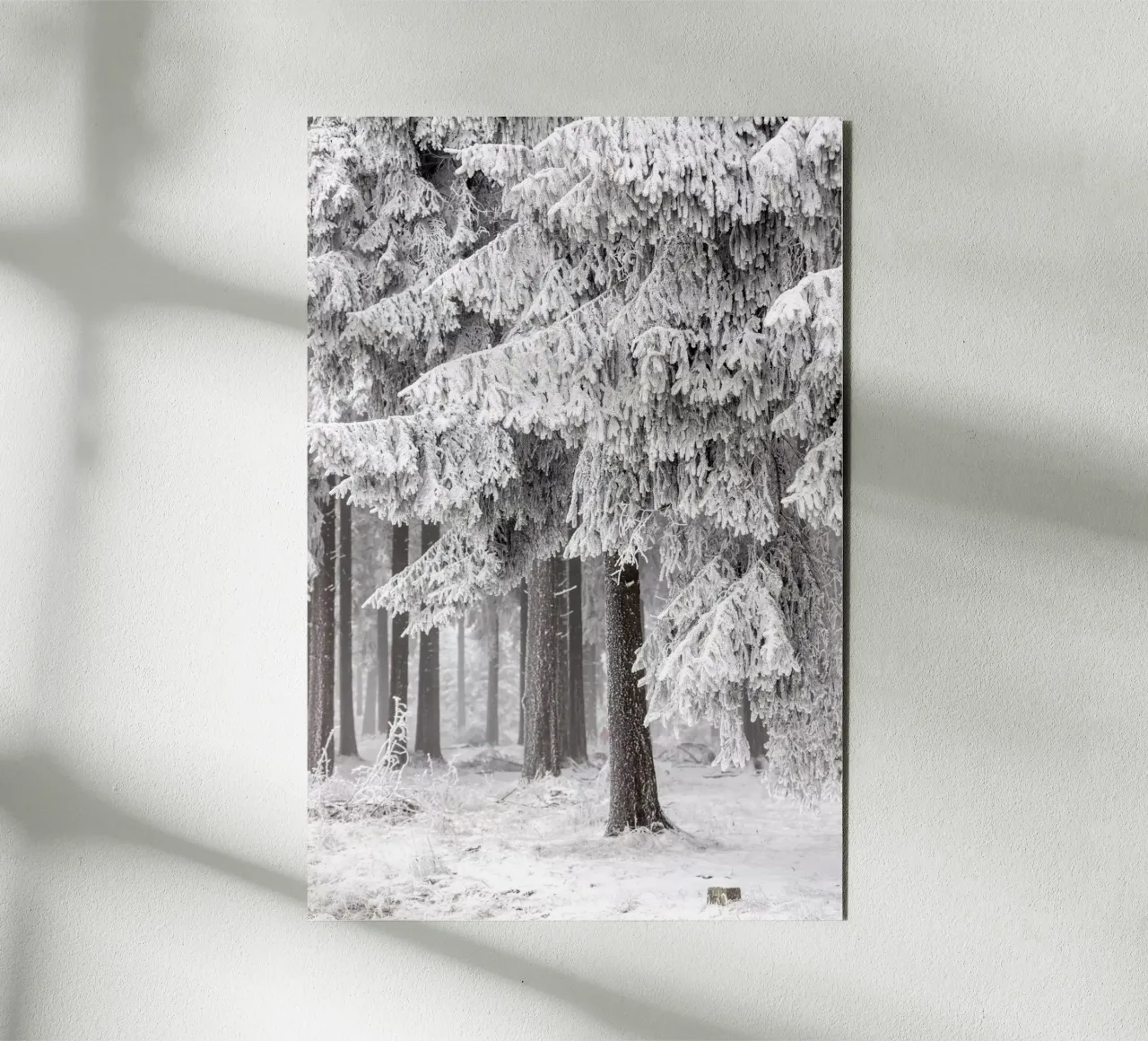 Winter Forest 2 alluminio dibond da Mareike Böhmer Photography