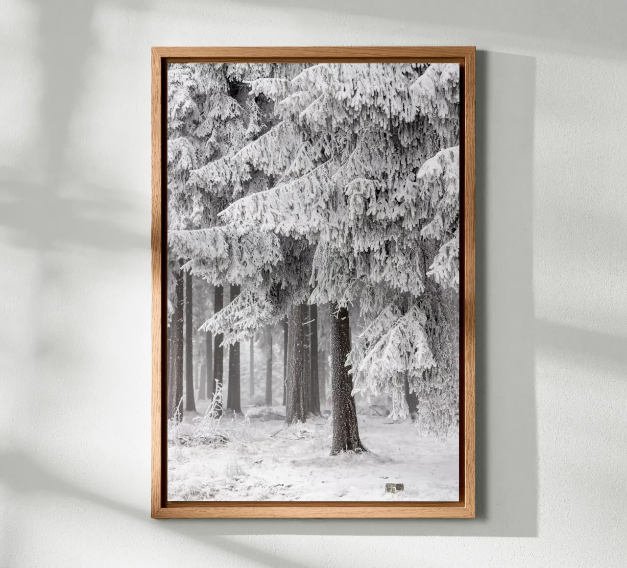 Winter Forest 2 canvas van Mareike Böhmer Photography