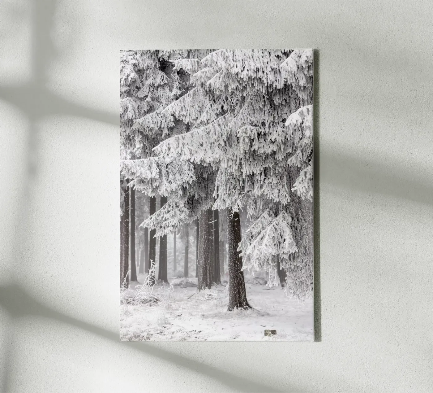 Winter Forest 2 tela da Mareike Böhmer Photography