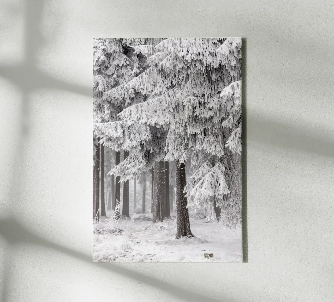 Winter Forest 2 tela da Mareike Böhmer Photography