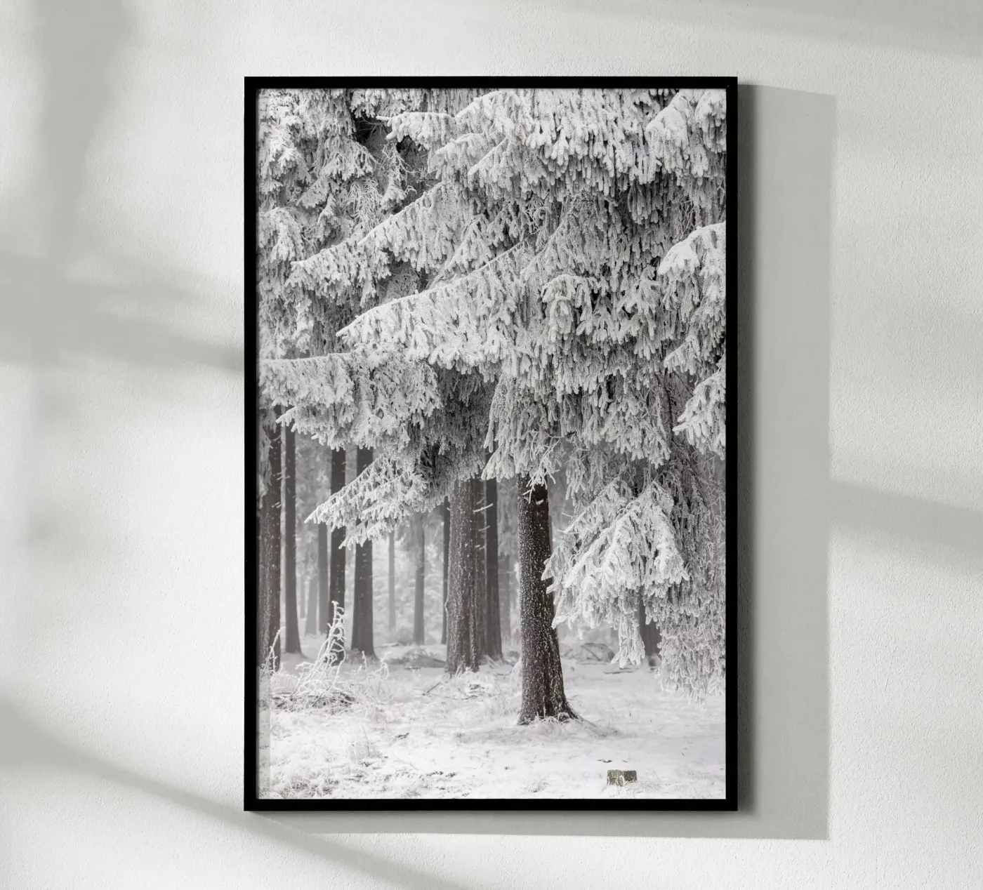 Winter Forest 2 poster by Mareike Böhmer Photography