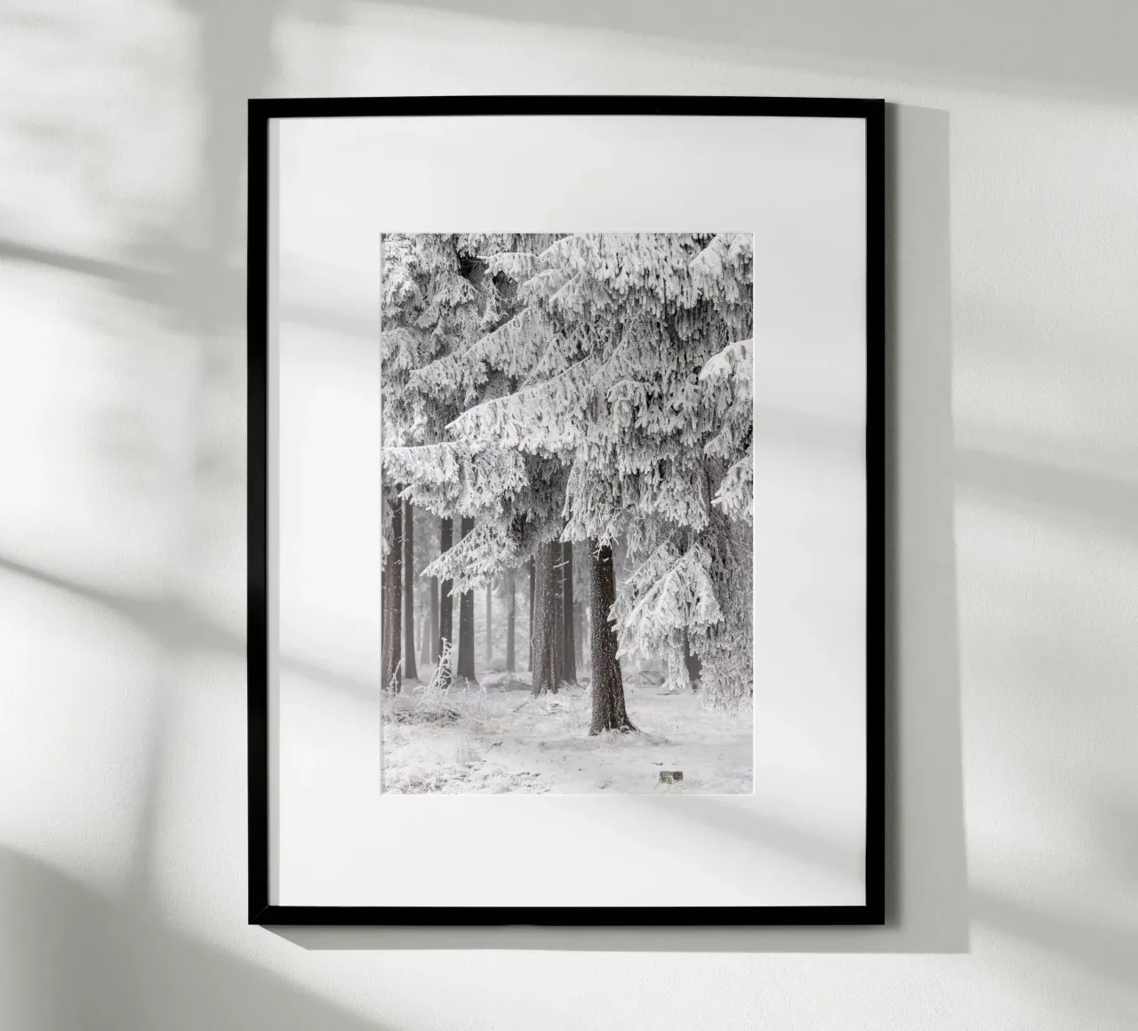 Winter Forest 2 poster avec cadre en aluminium de Mareike Böhmer Photography