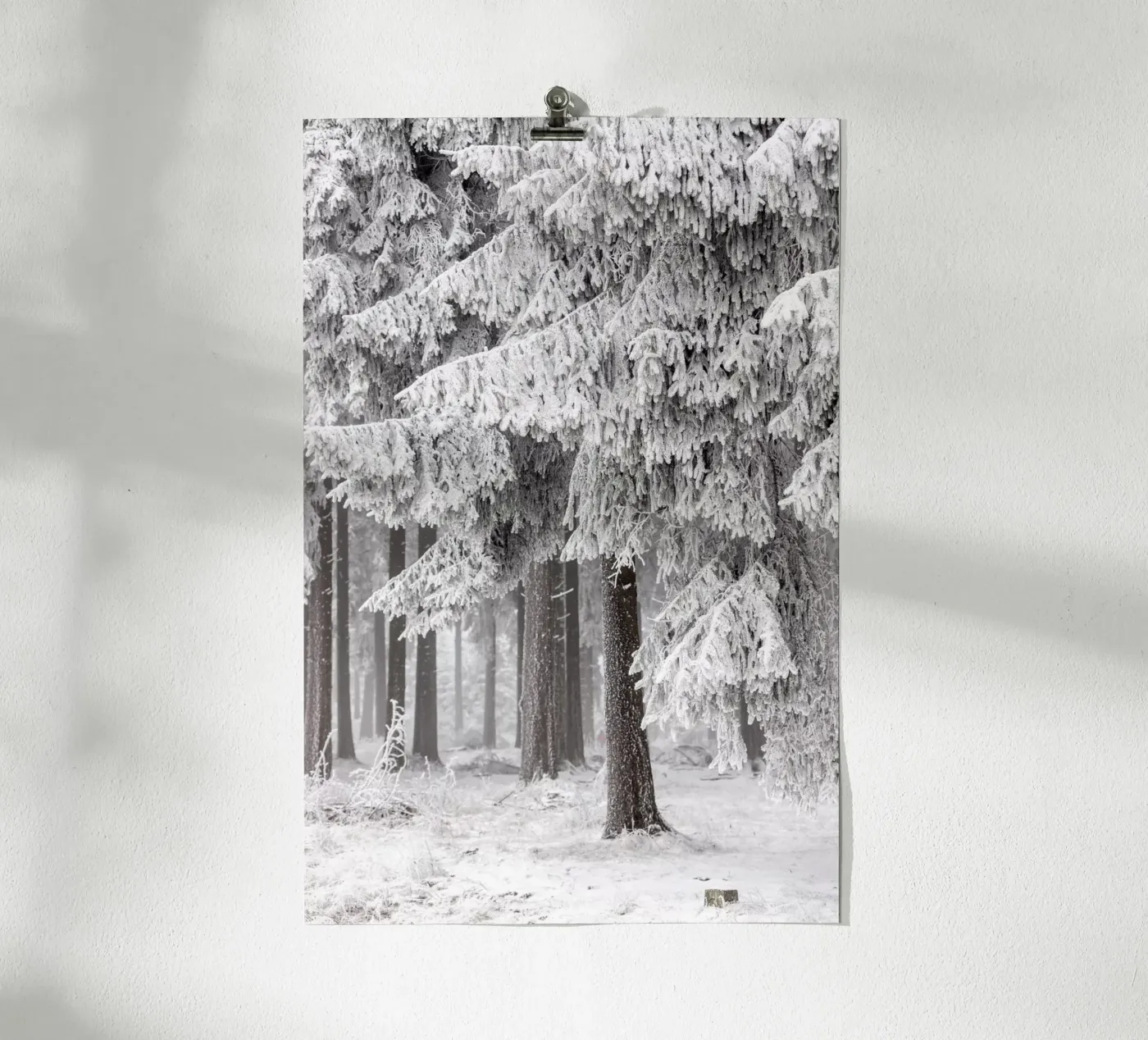Winter Forest 2 poster by Mareike Böhmer Photography