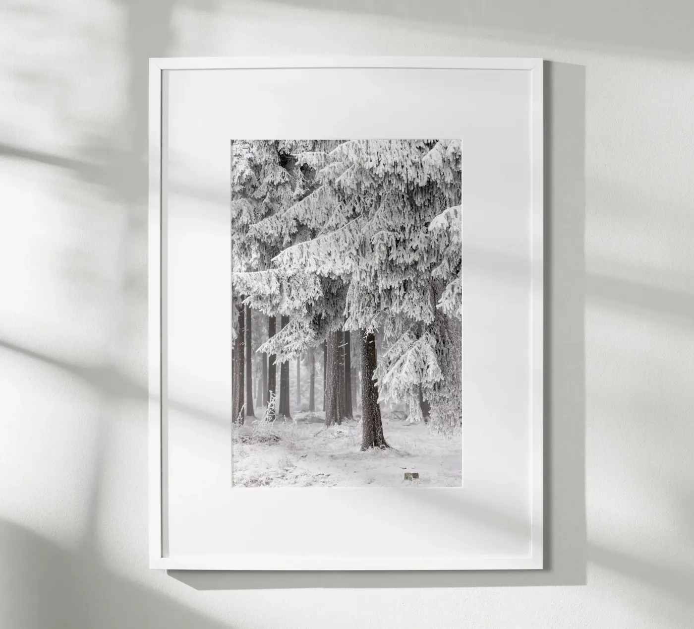 Winter Forest 2 poster by Mareike Böhmer Photography