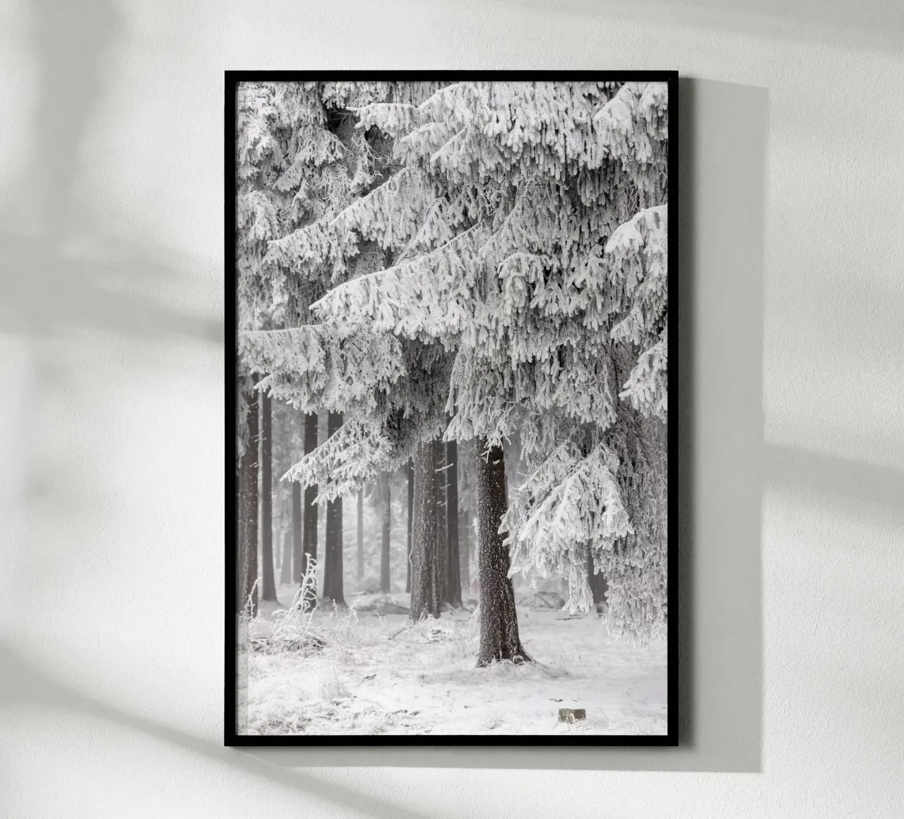 Winter Forest 2 poster avec cadre en aluminium de Mareike Böhmer Photography