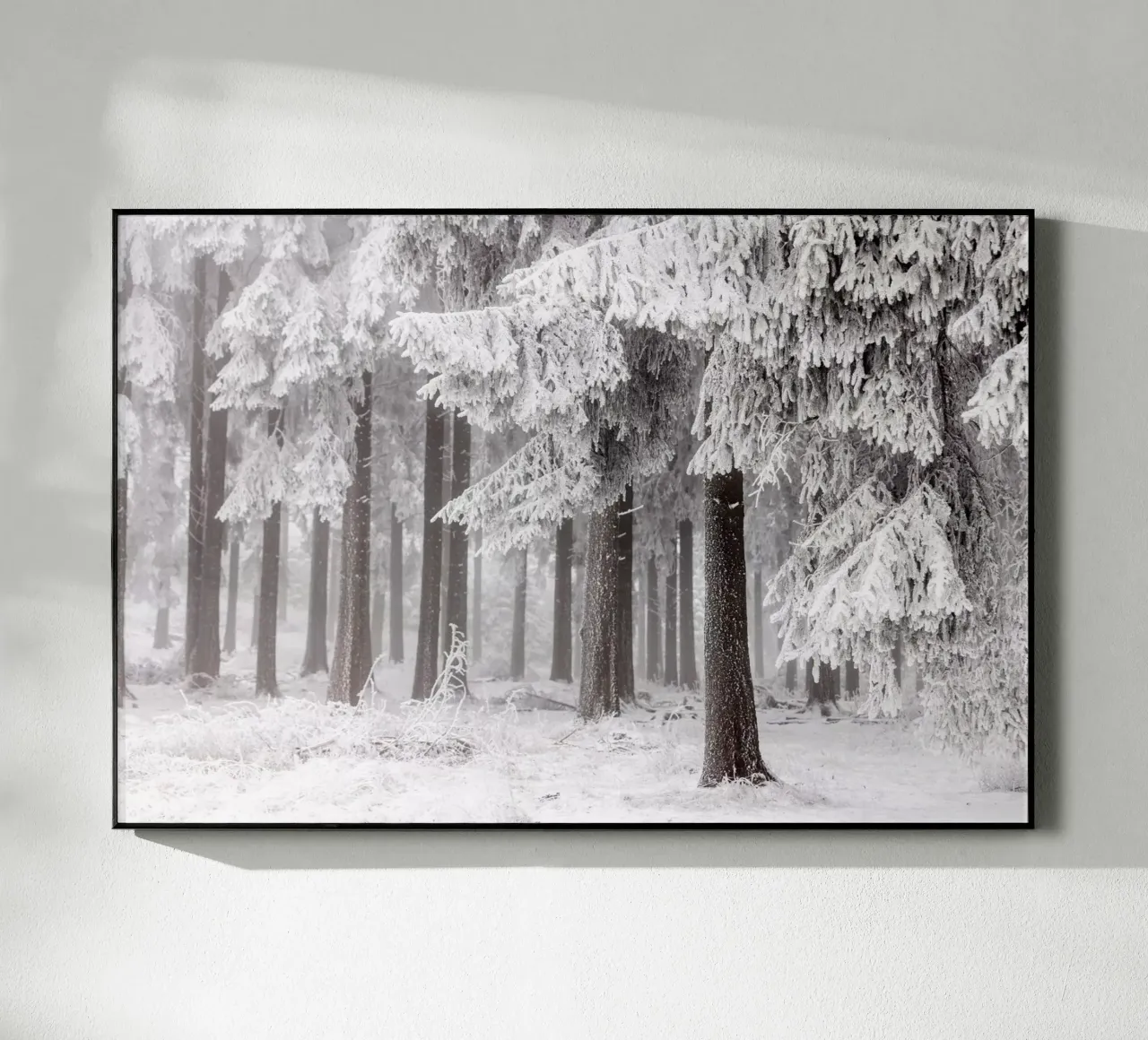 Winter Forest 3 plexiglass da Mareike Böhmer Photography