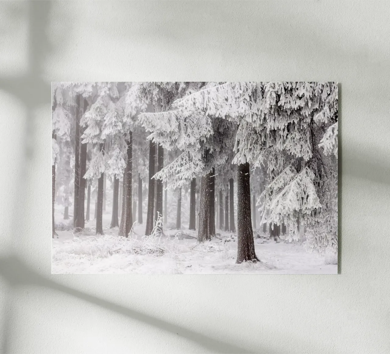 Winter Forest 3 plexiglass da Mareike Böhmer Photography