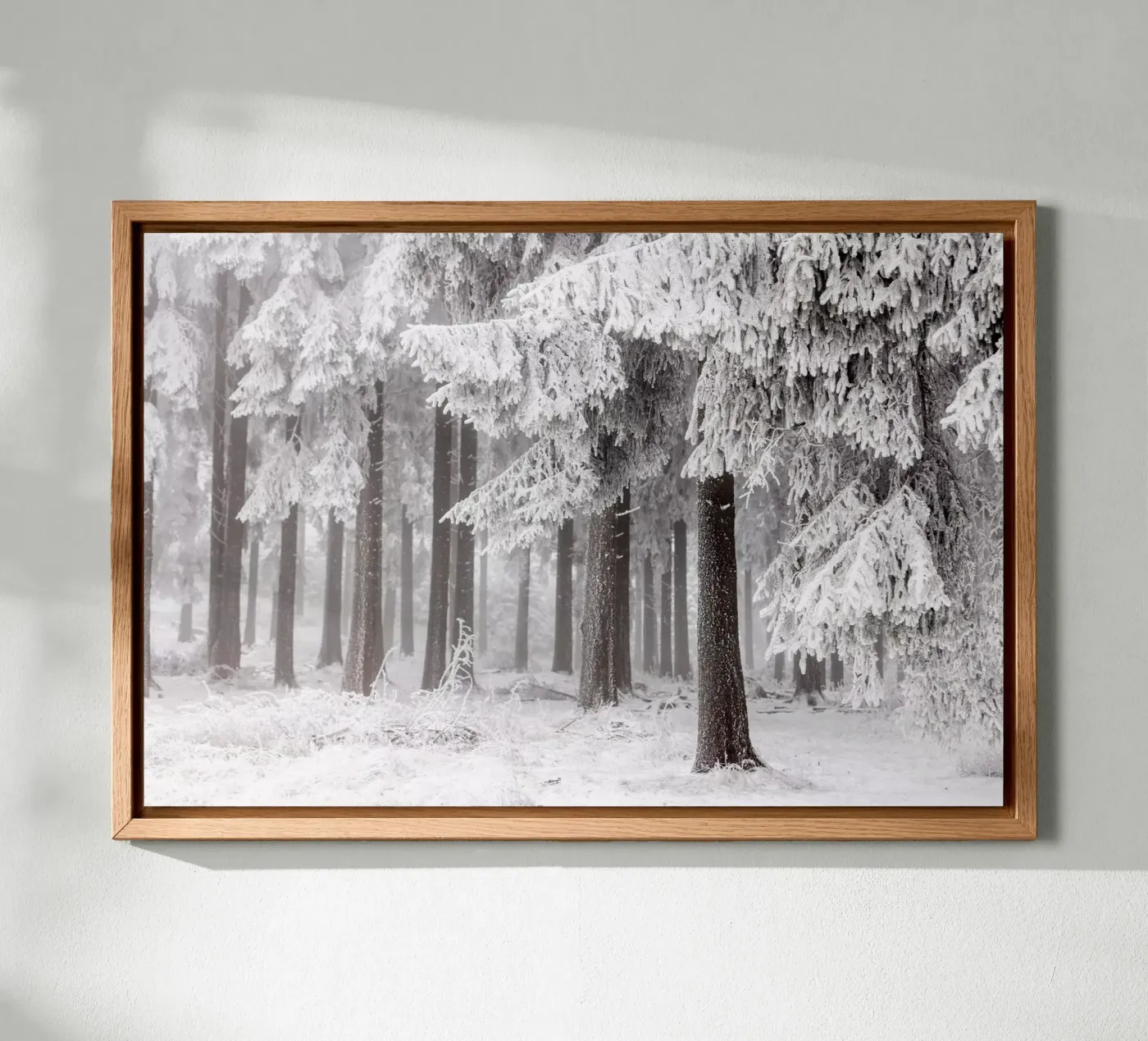 Winter Forest 3 forex plate by Mareike Böhmer Photography