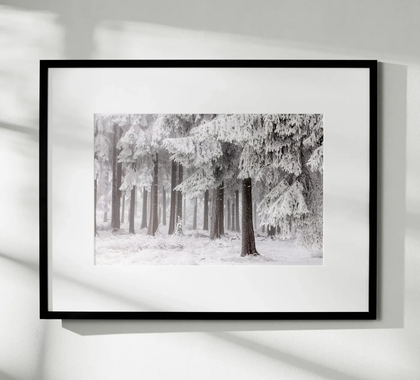 Winter Forest 3 poster by Mareike Böhmer Photography