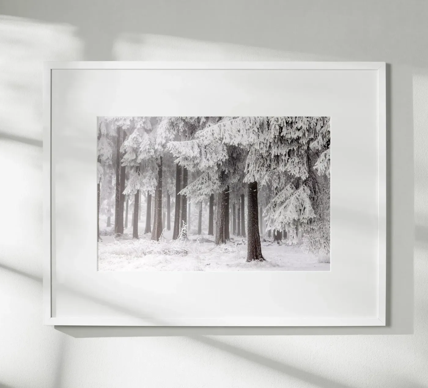 Winter Forest 3 poster by Mareike Böhmer Photography