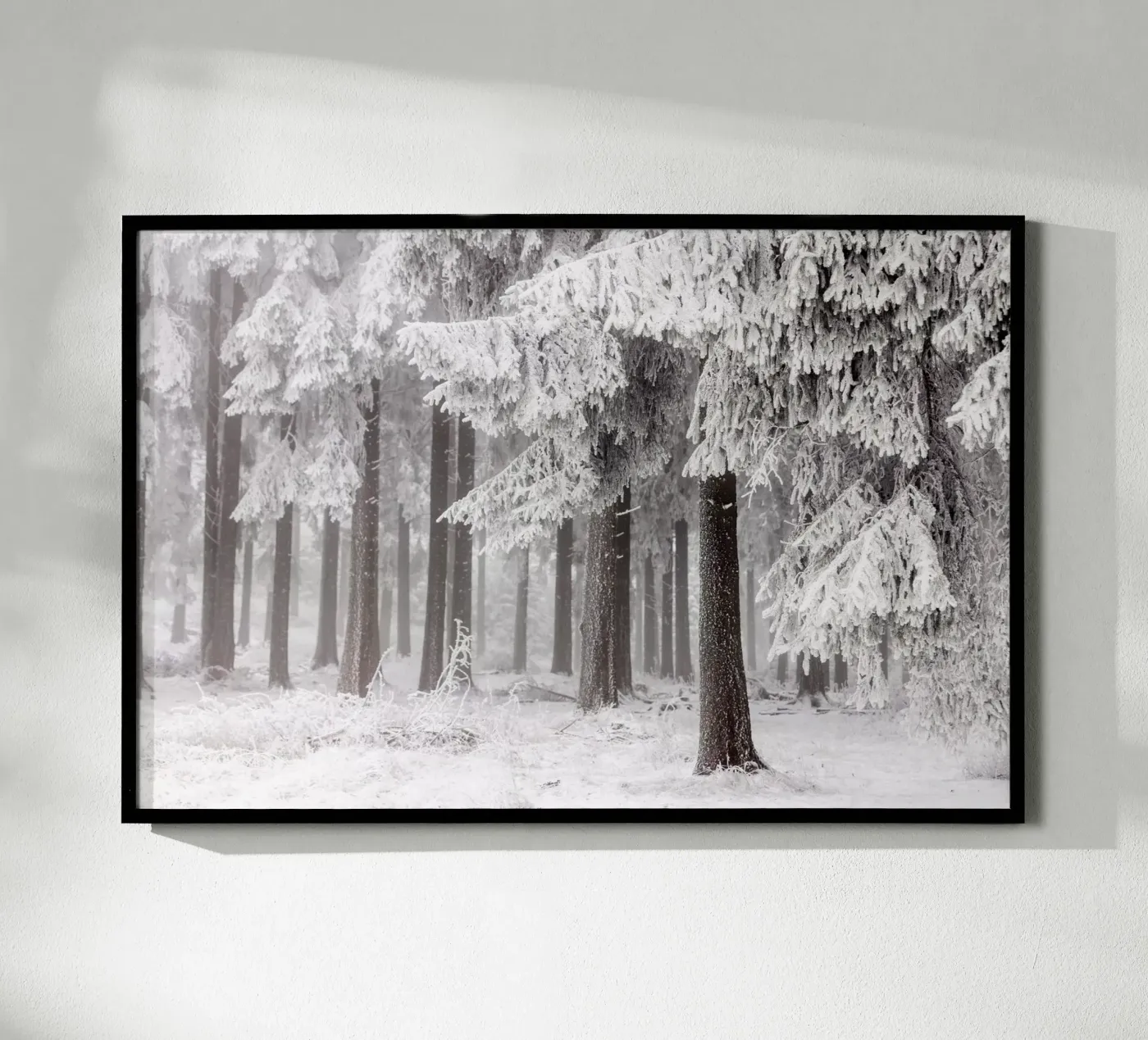 Winter Forest 3 poster by Mareike Böhmer Photography