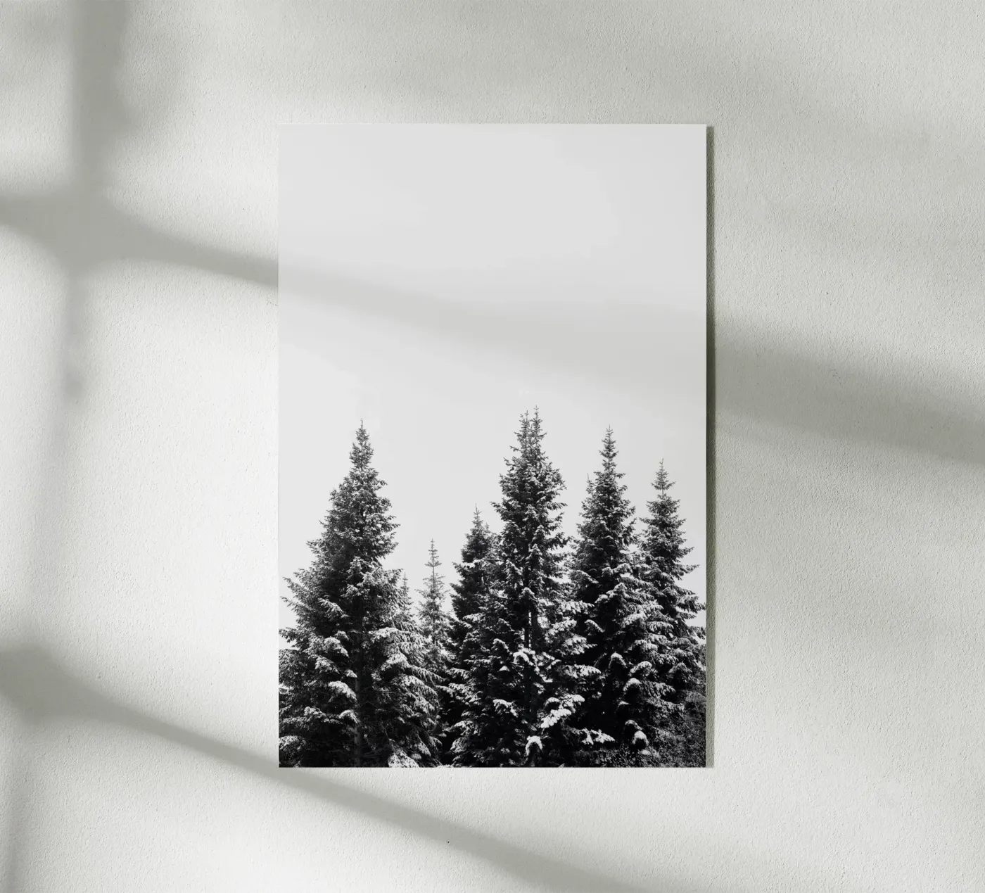 Snow Covered Trees 2 plexiglass da Mareike Böhmer Photography