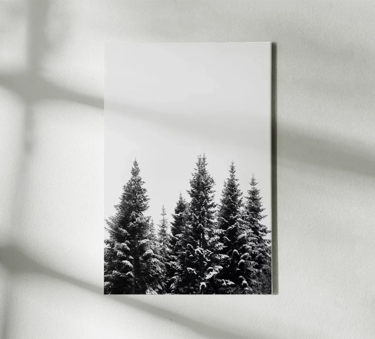 Snow Covered Trees 2 Leinwand von Mareike Böhmer Photography