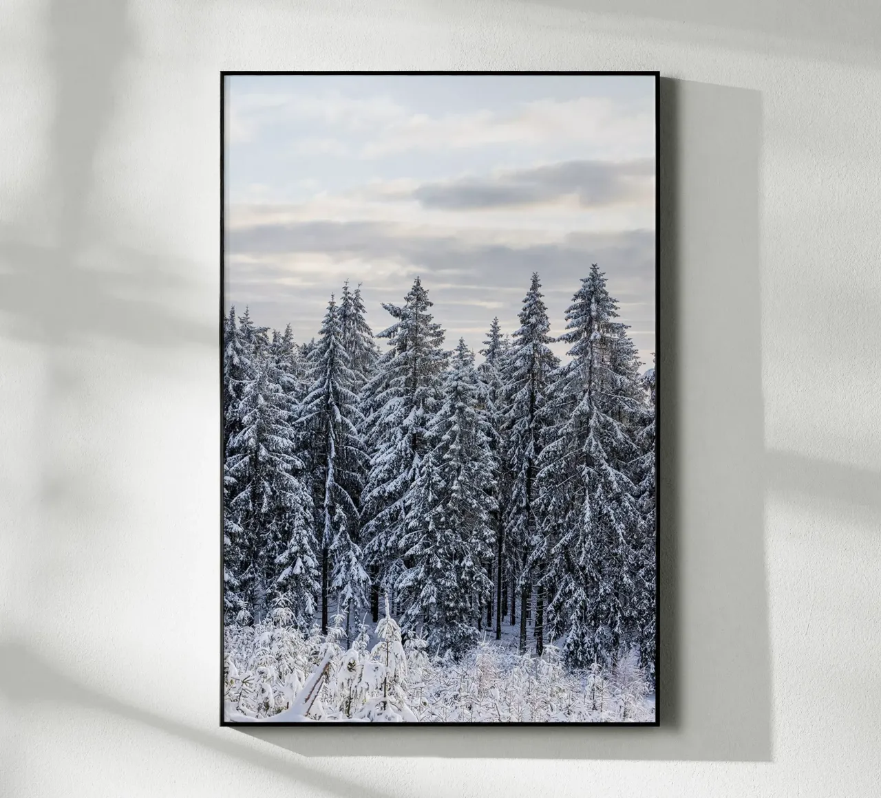 Snow Covered Trees 2 plexiglass da Mareike Böhmer Photography