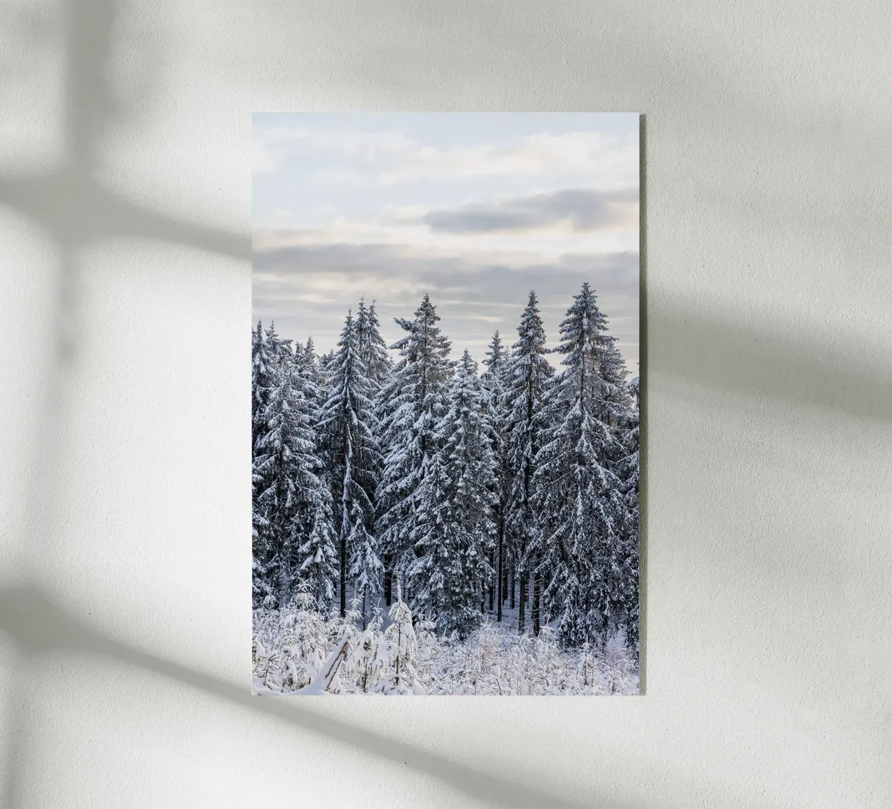 Snow Covered Trees 2 plexiglass da Mareike Böhmer Photography