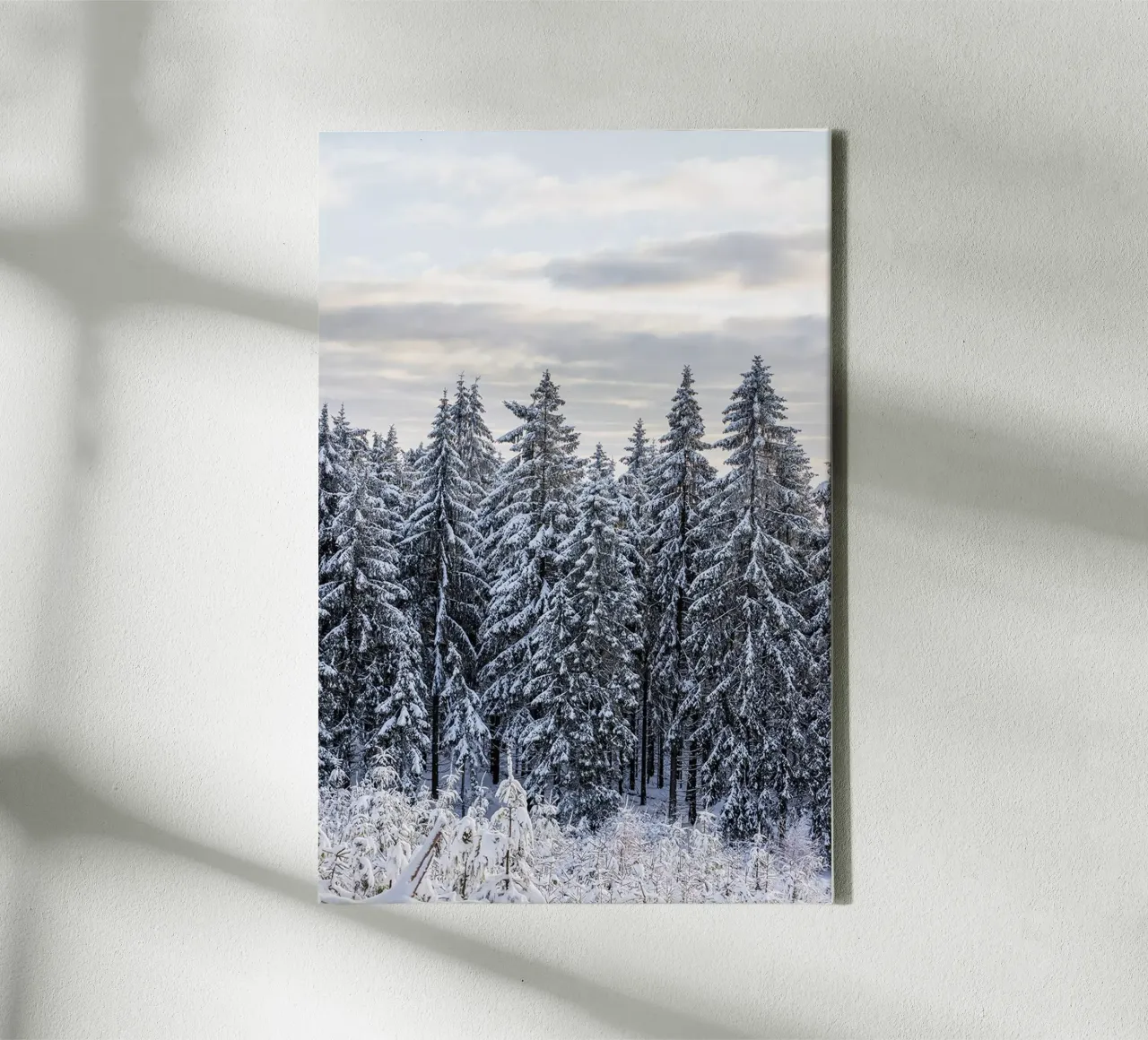 Snow Covered Trees 2 Leinwand von Mareike Böhmer Photography